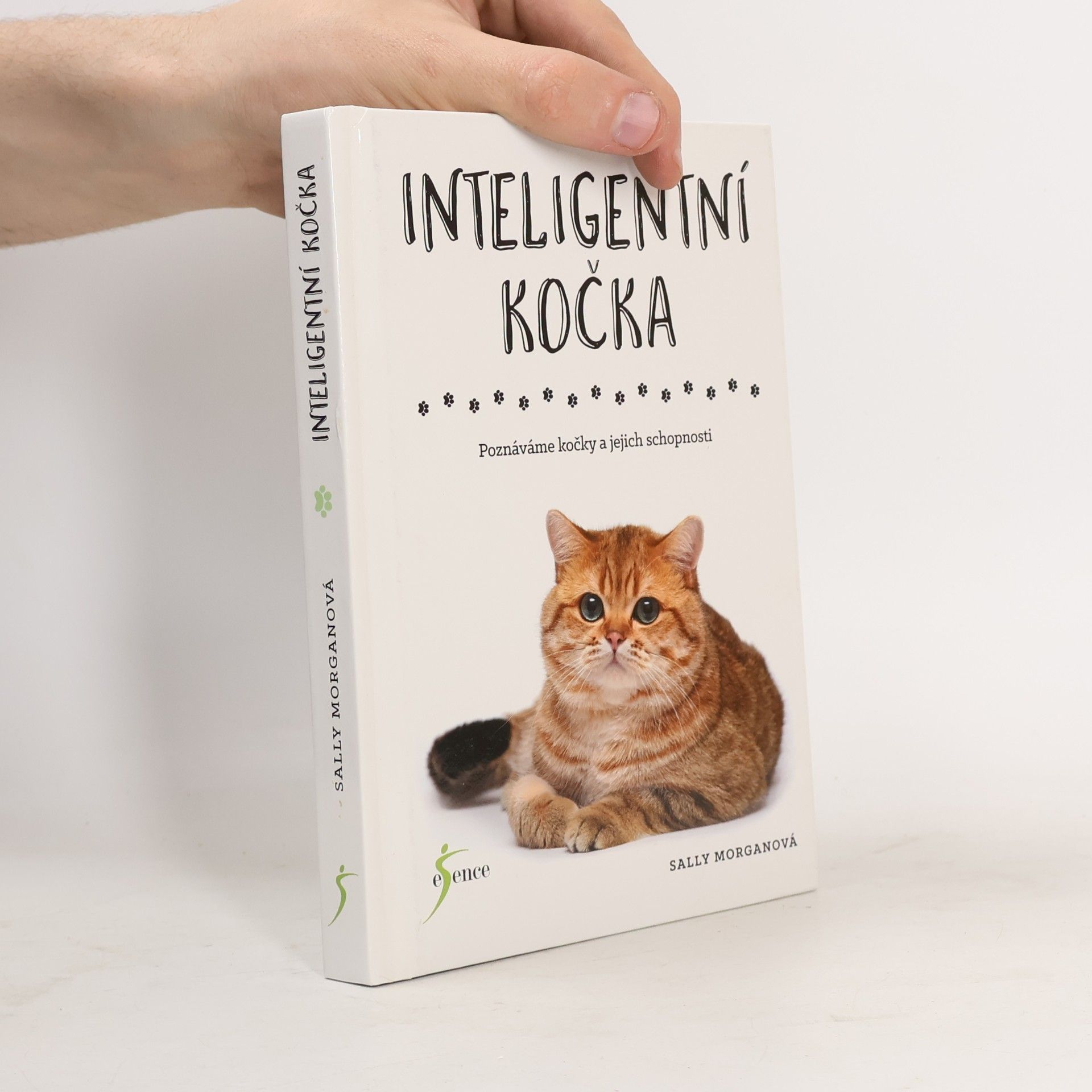 Sally Morgan Inteligentní kočka : poznáváme kočky a jejich schopnosti