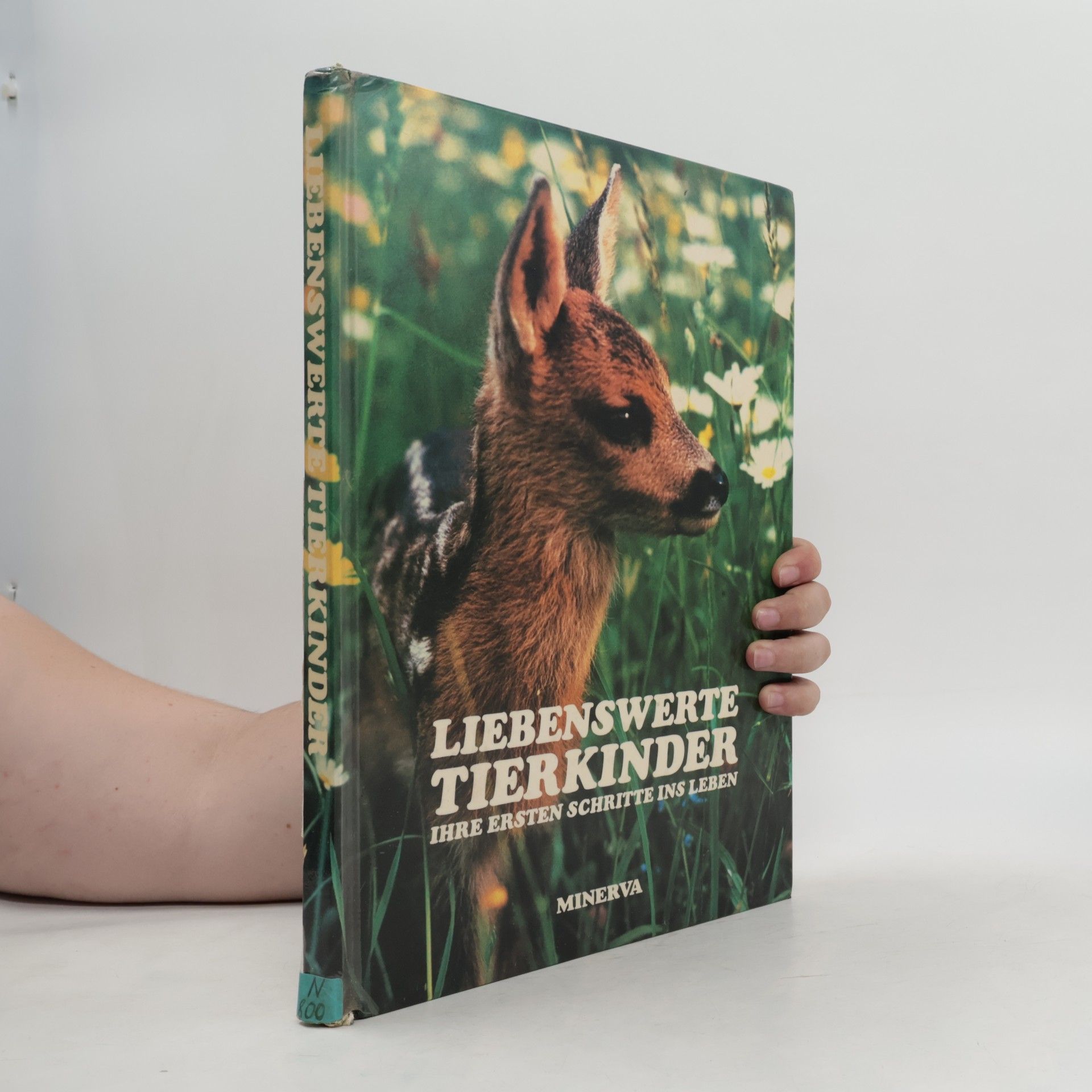 Philippe de Wailly Liebenswerte Tierkinder
