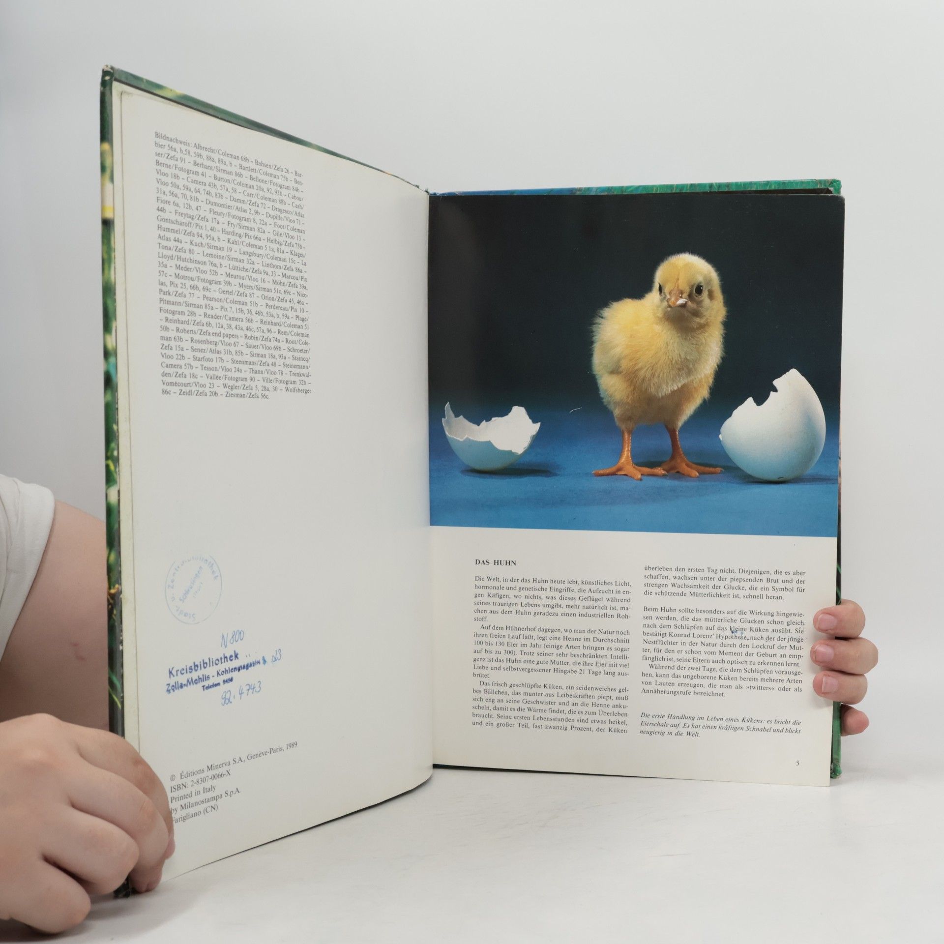 Philippe de Wailly Liebenswerte Tierkinder