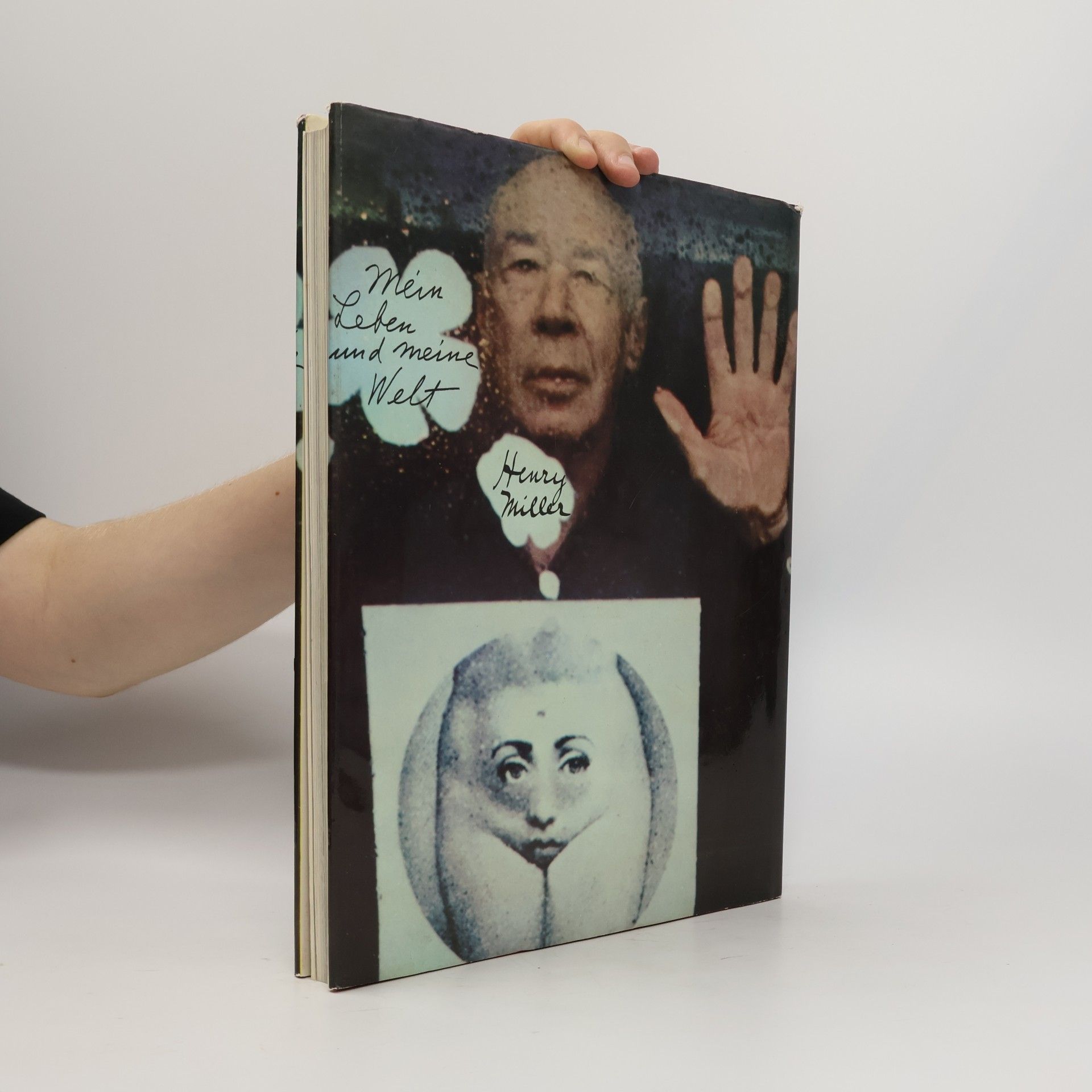 Henry Miller Mein Leben und meine Welt