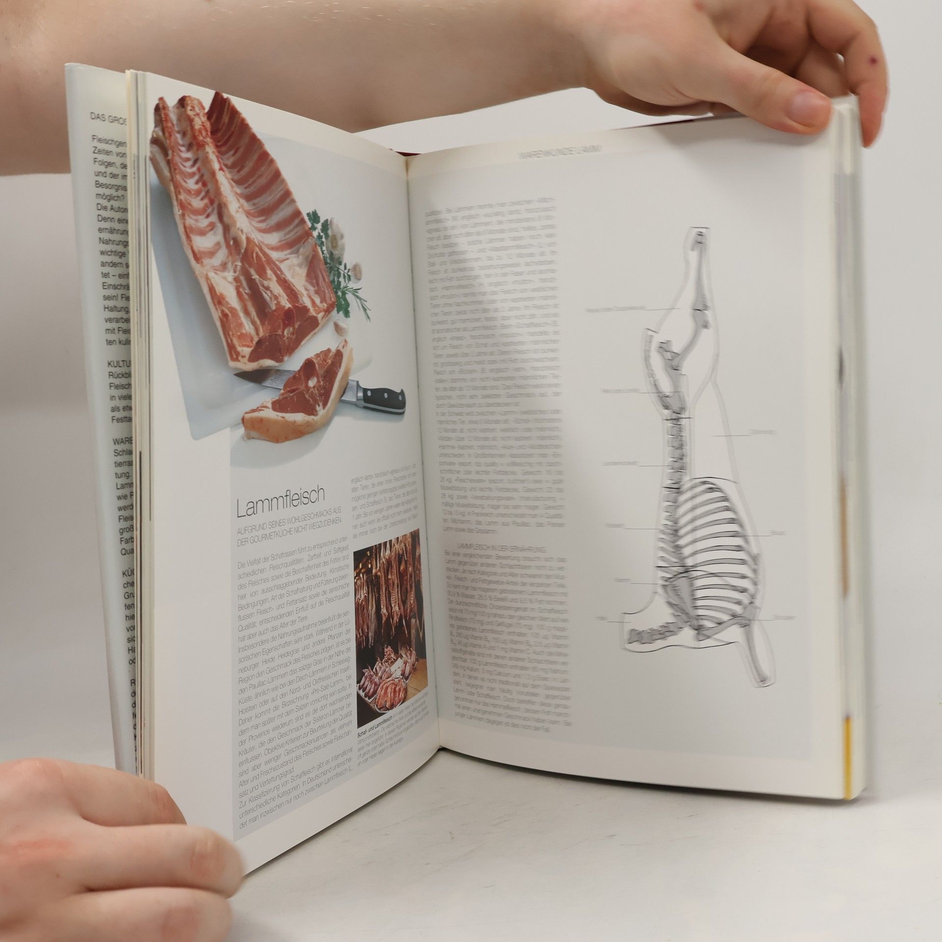 Werner Frey Das große Buch vom Fleisch
