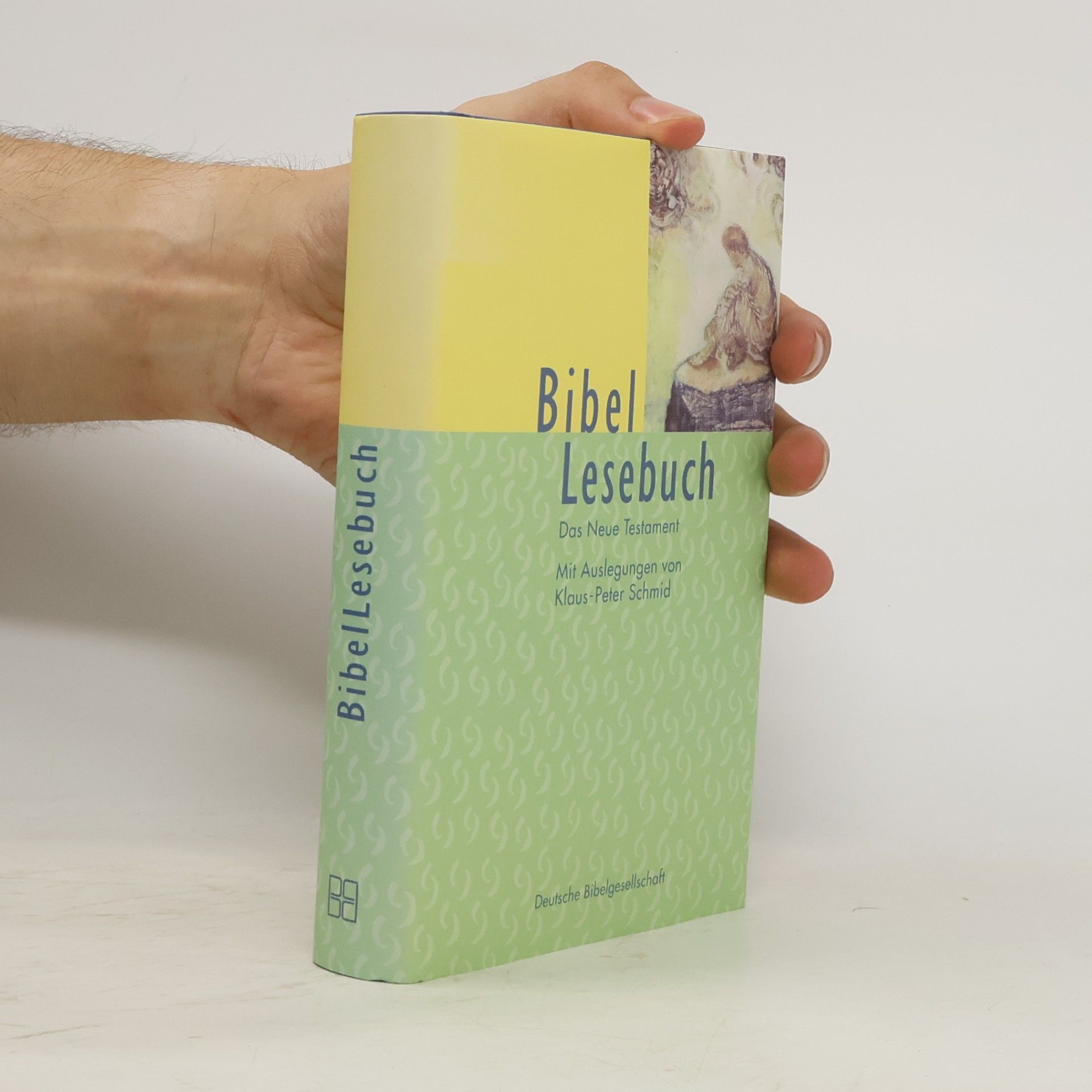 Anselm Schmid BibelLesebuch. Neues Testament.