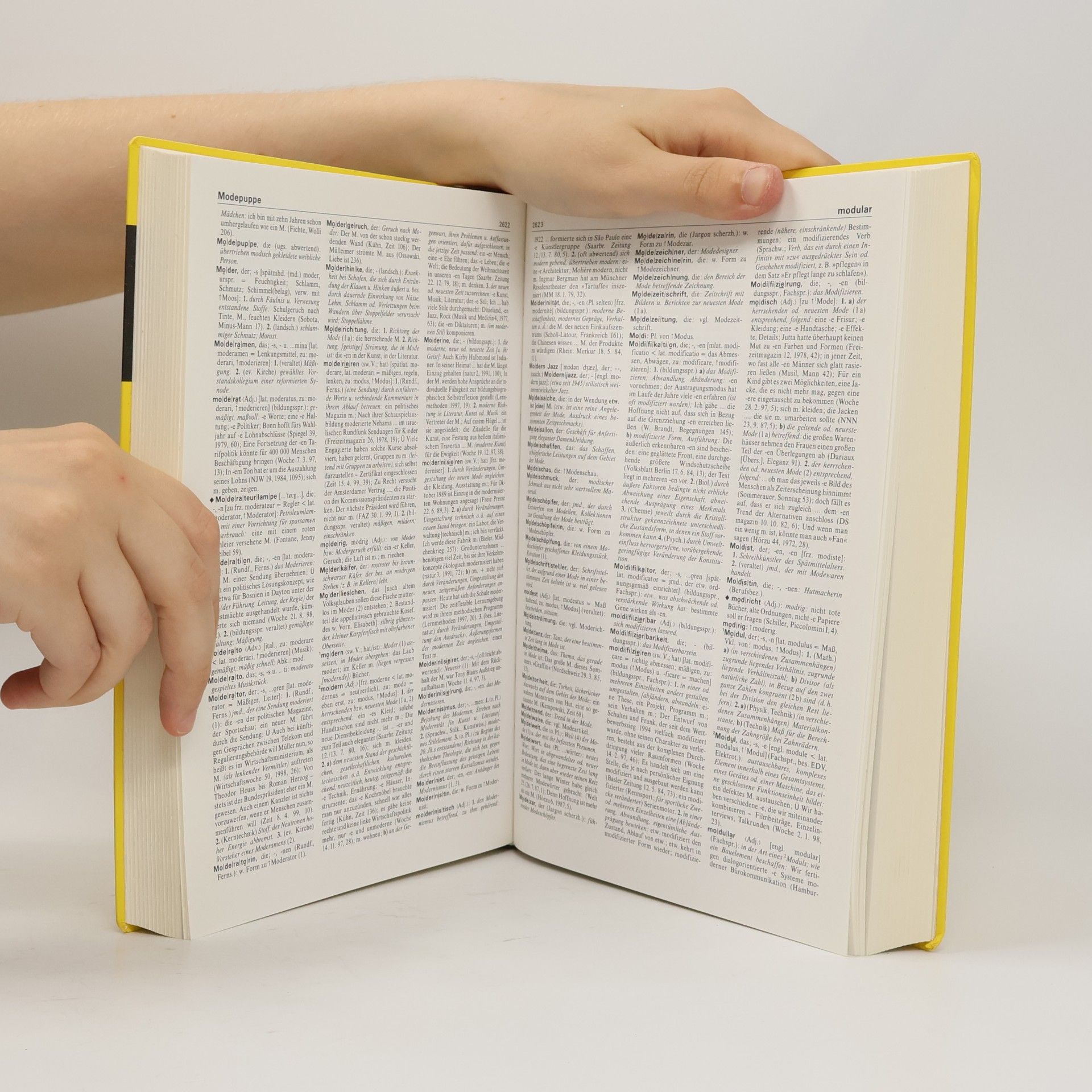 Brigitte Alsleben Duden - Das Grosse Wörterbuch der Deutschen Sprache in Zehn Bänden. Lehr - Pens - Studienausgabe