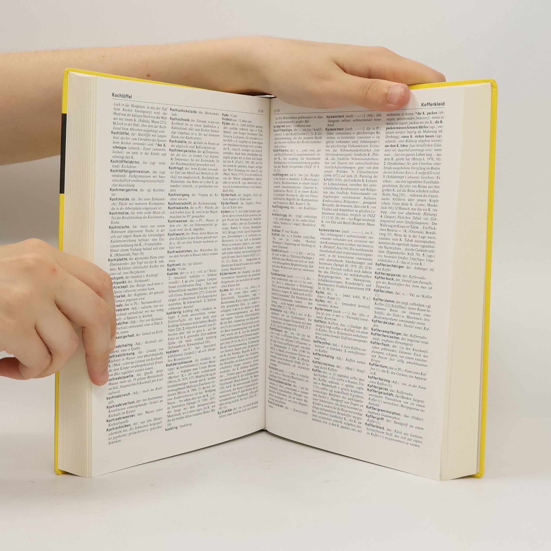 Kolektiv autorů Duden - Das grosse Wörterbuch der deutschen Sprache in zehn Bänden 5. Idol - Lehn