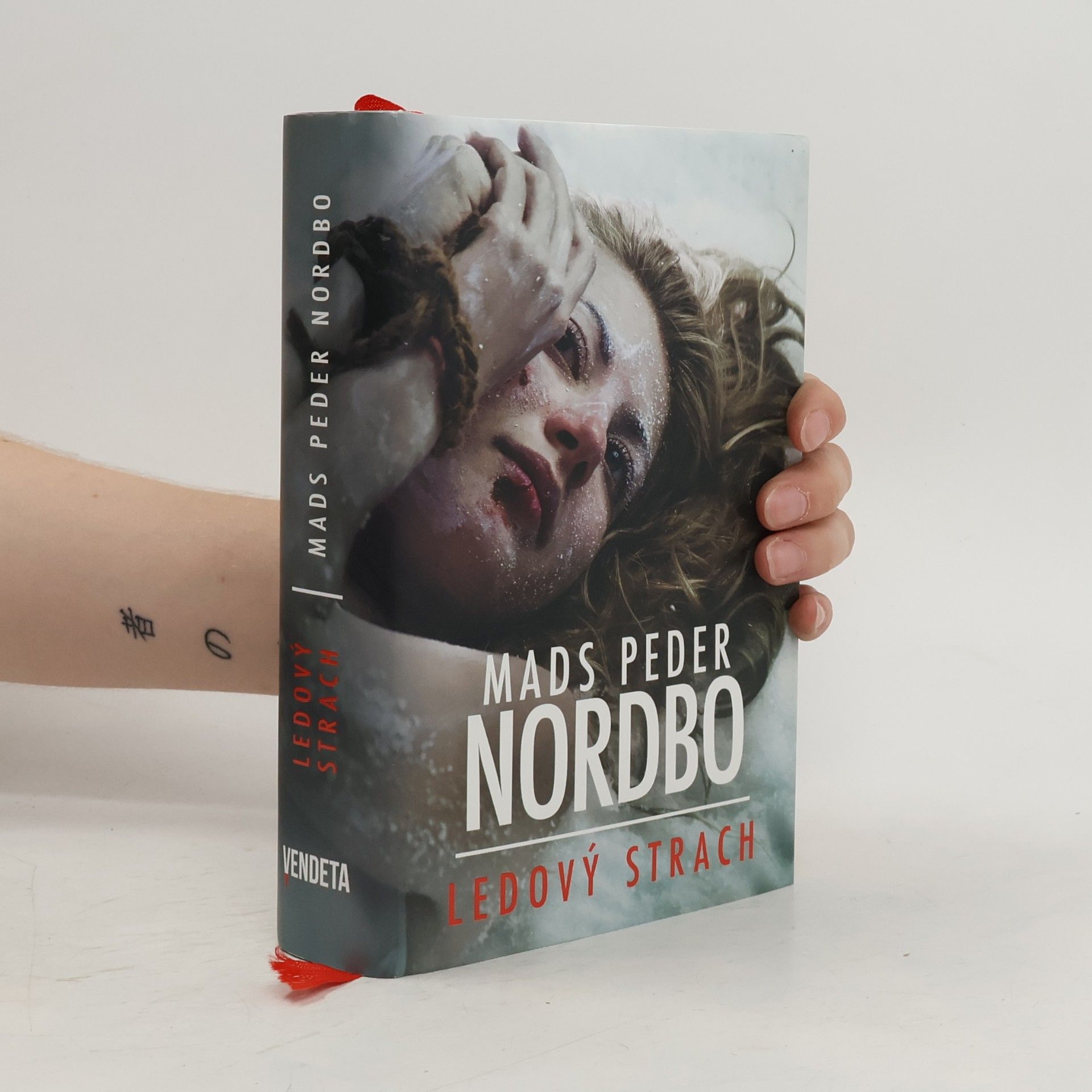 Mads Peder Nordbo Ledový strach