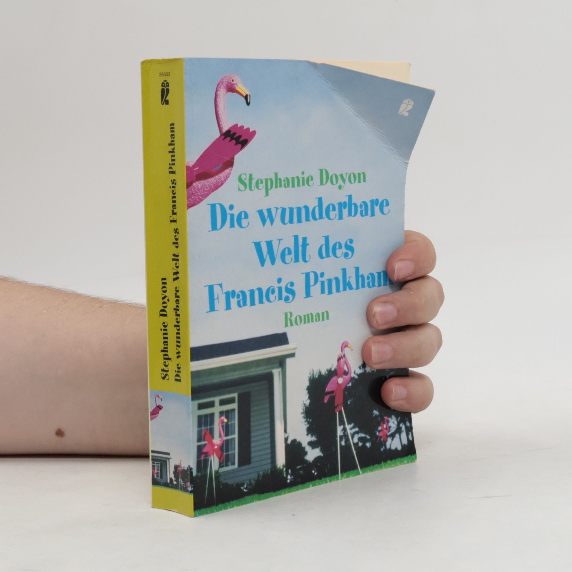 Stephanie Doyon Die wunderbare Welt des Francis Pinkham