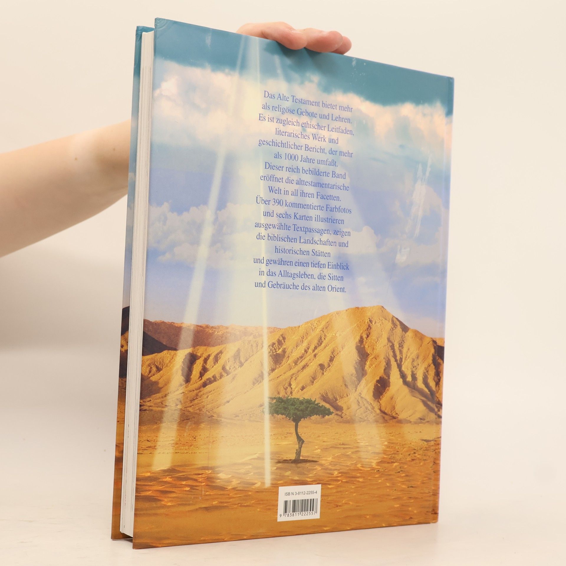 Iris Hahner Herzog Auf den Spuren des Alten Testaments