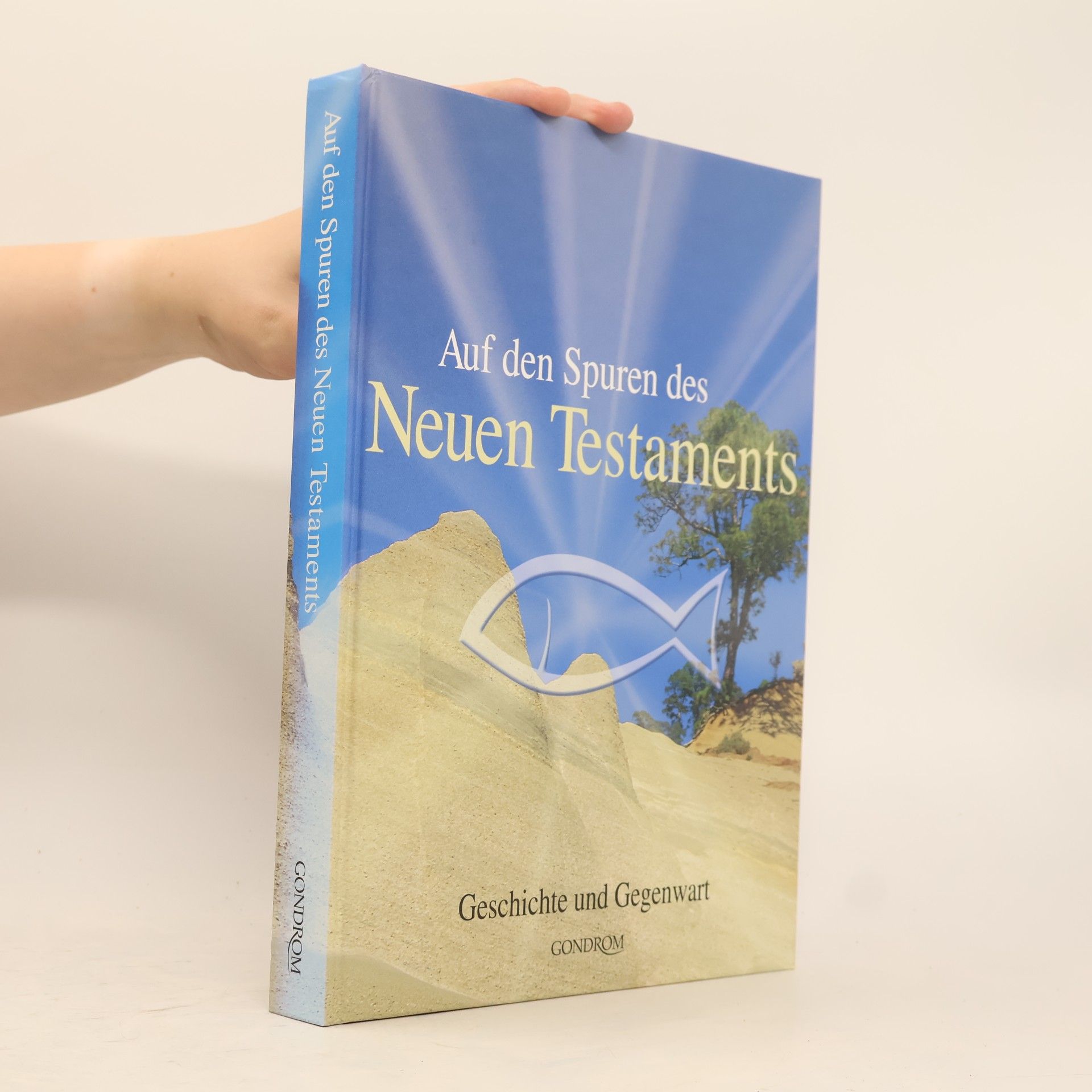 Iris Hahner Herzog Auf den Spuren des Neuen Testaments