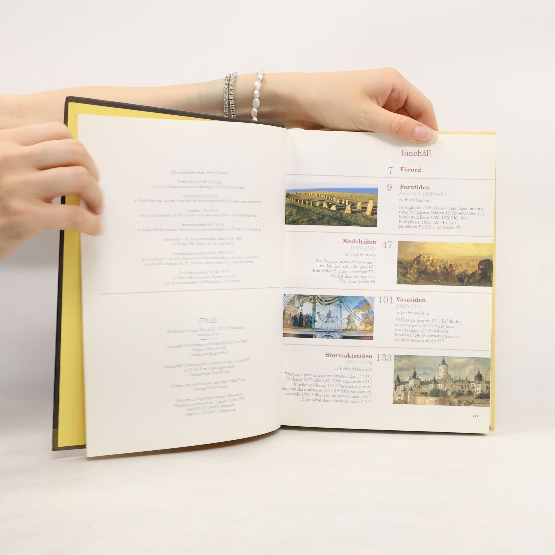 Autorenkollektiv Boken om Sveriges historia