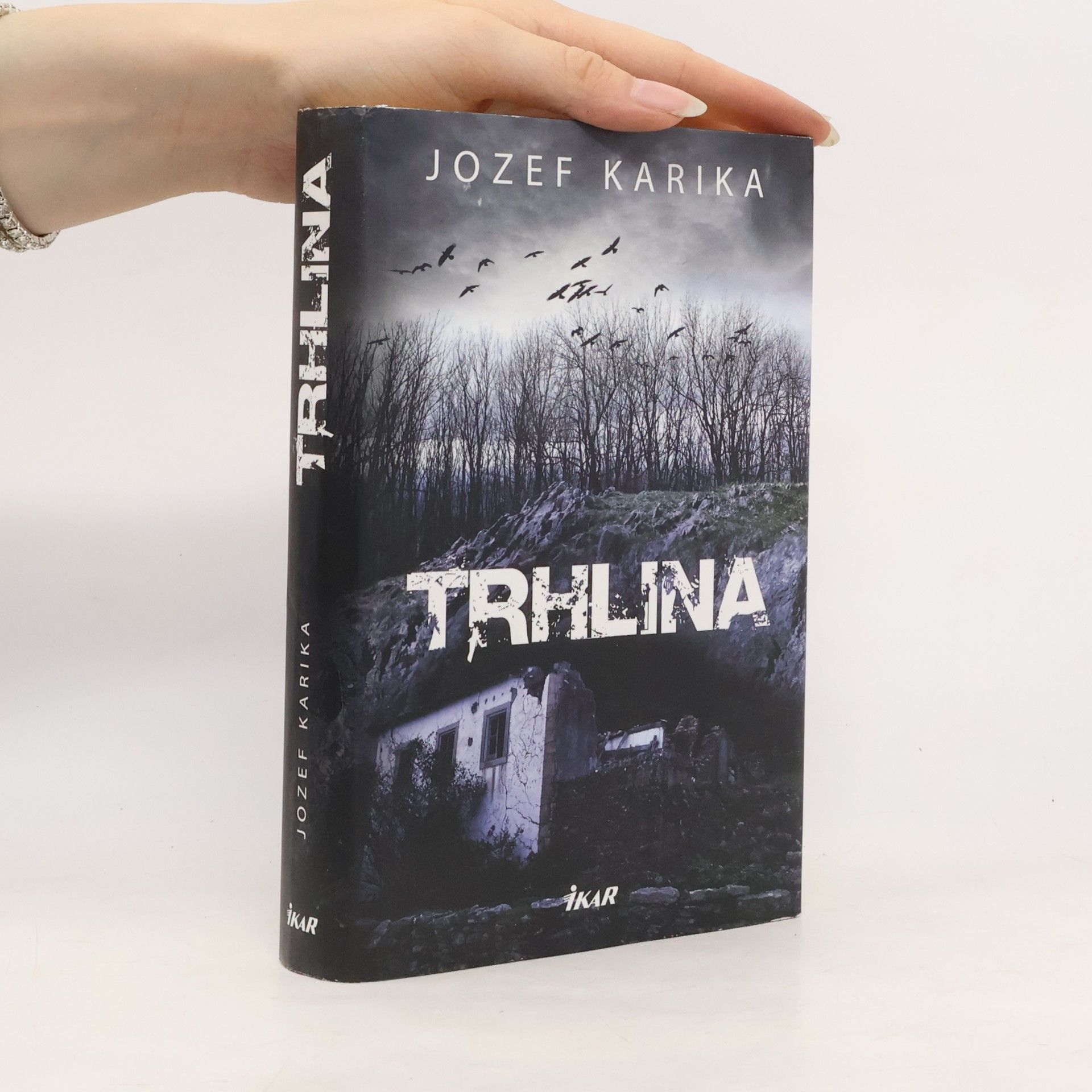 Jozef Karika Trhlina