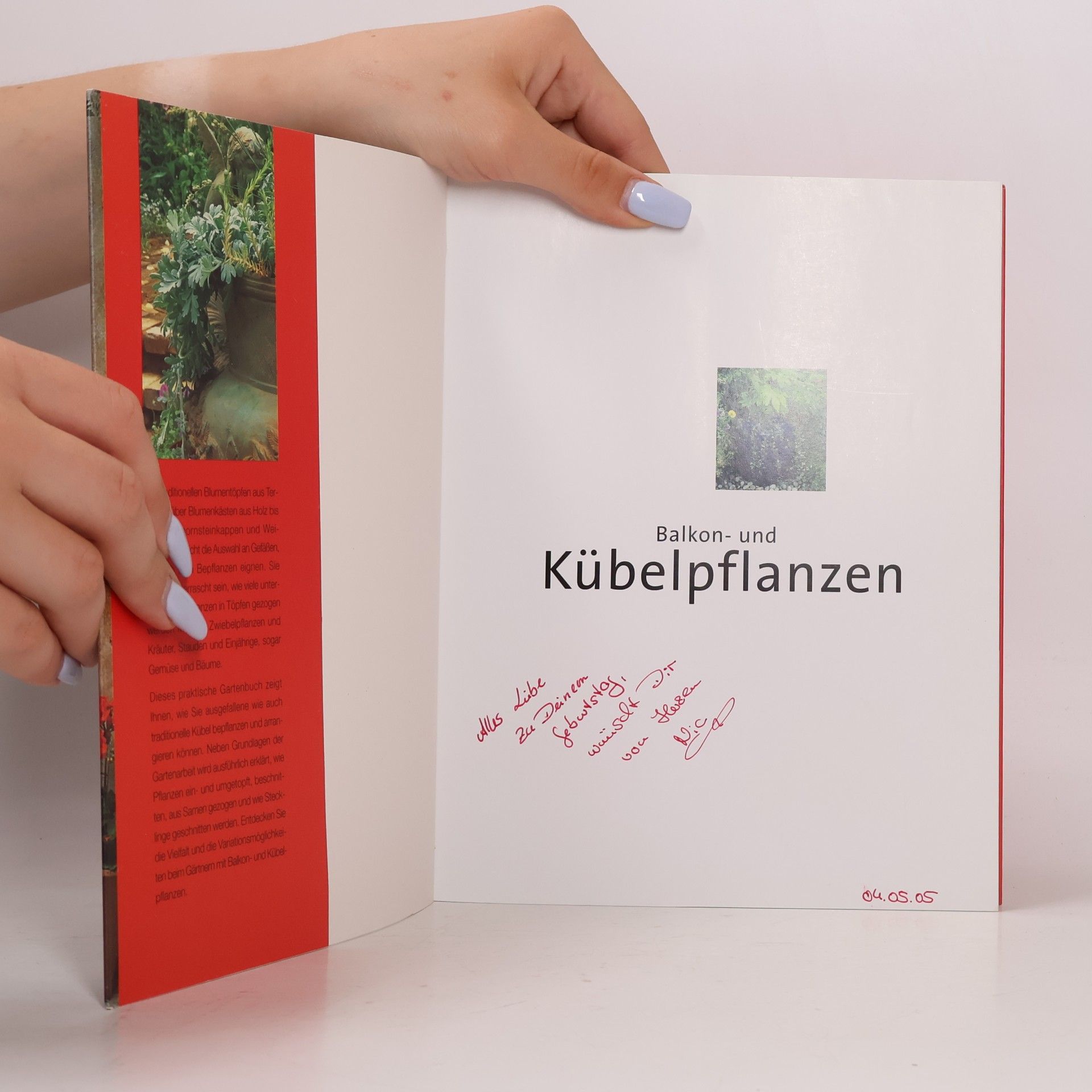 Antony Atha Balkon- und Kübelpflanzen
