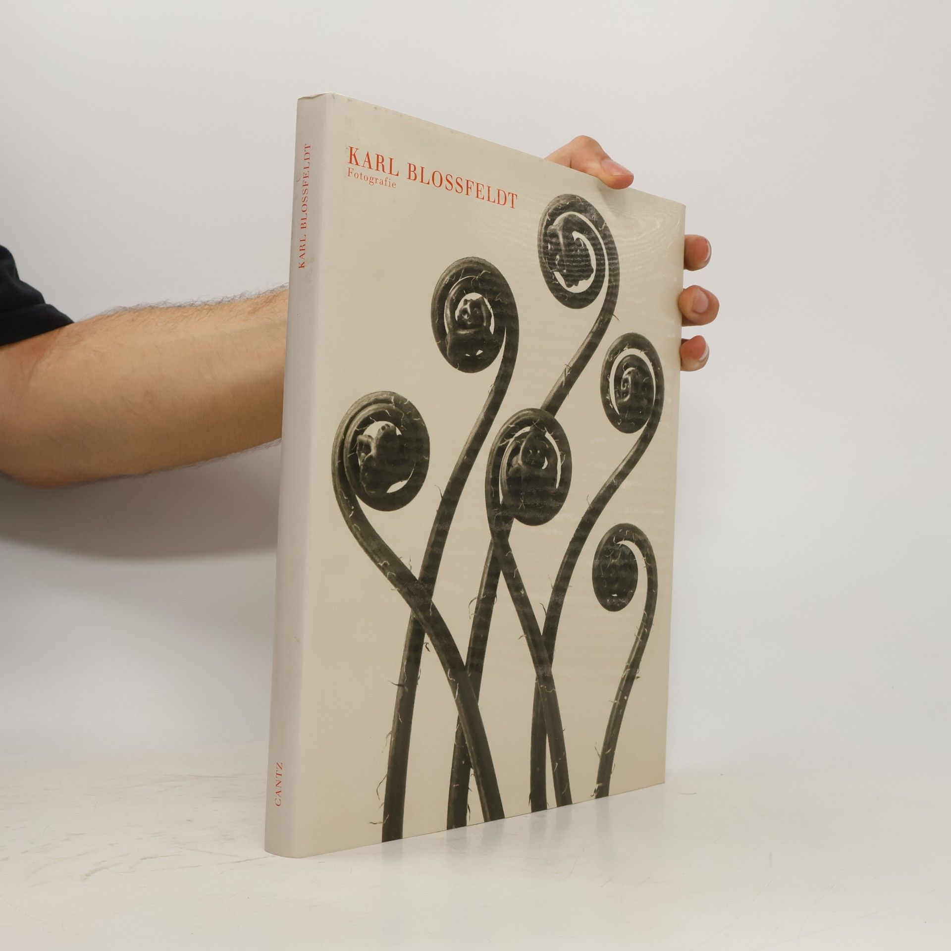 Karl Blossfeldt Karl Blossfeldt