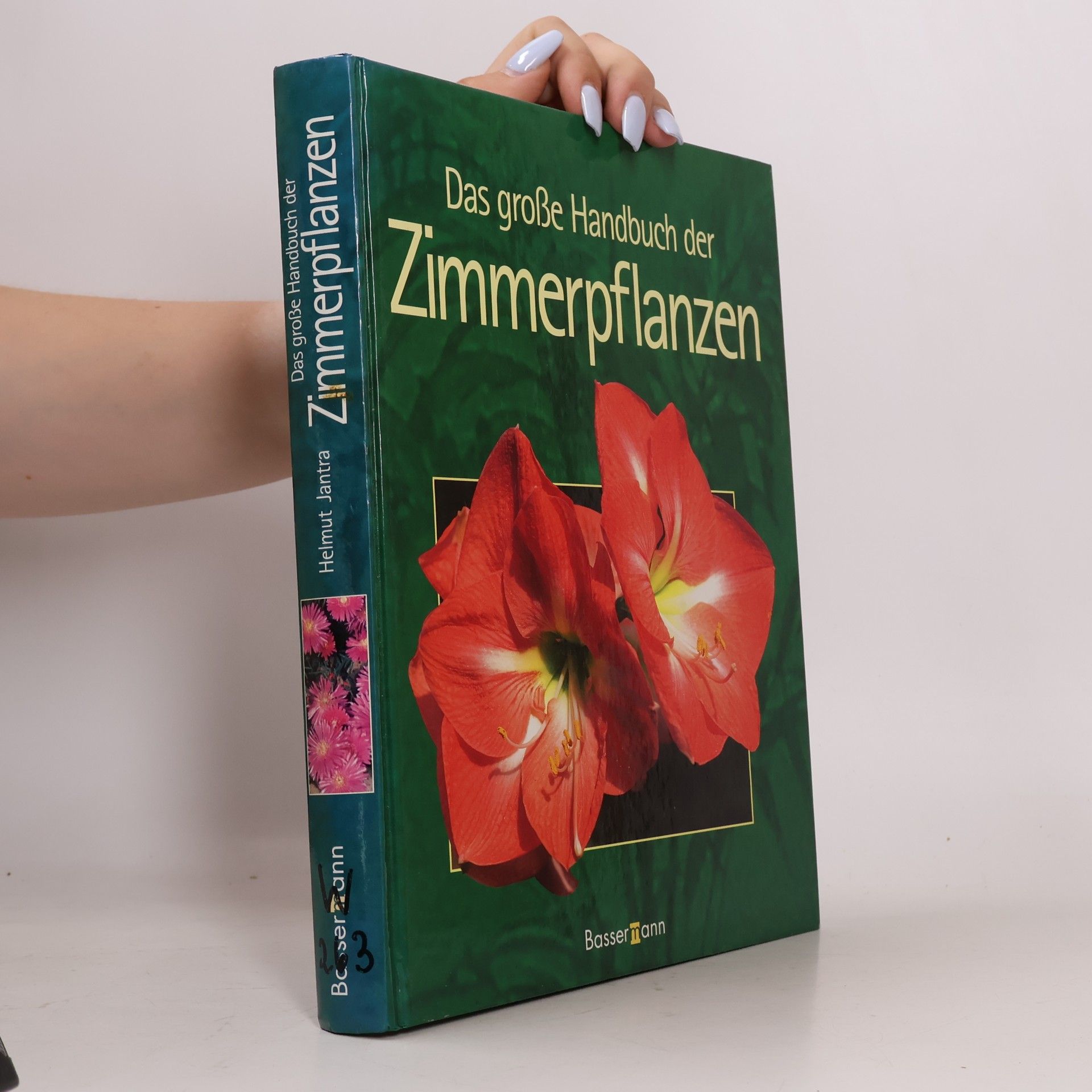 Helmut Jantra Das große Handbuch der Zimmerpflanzen