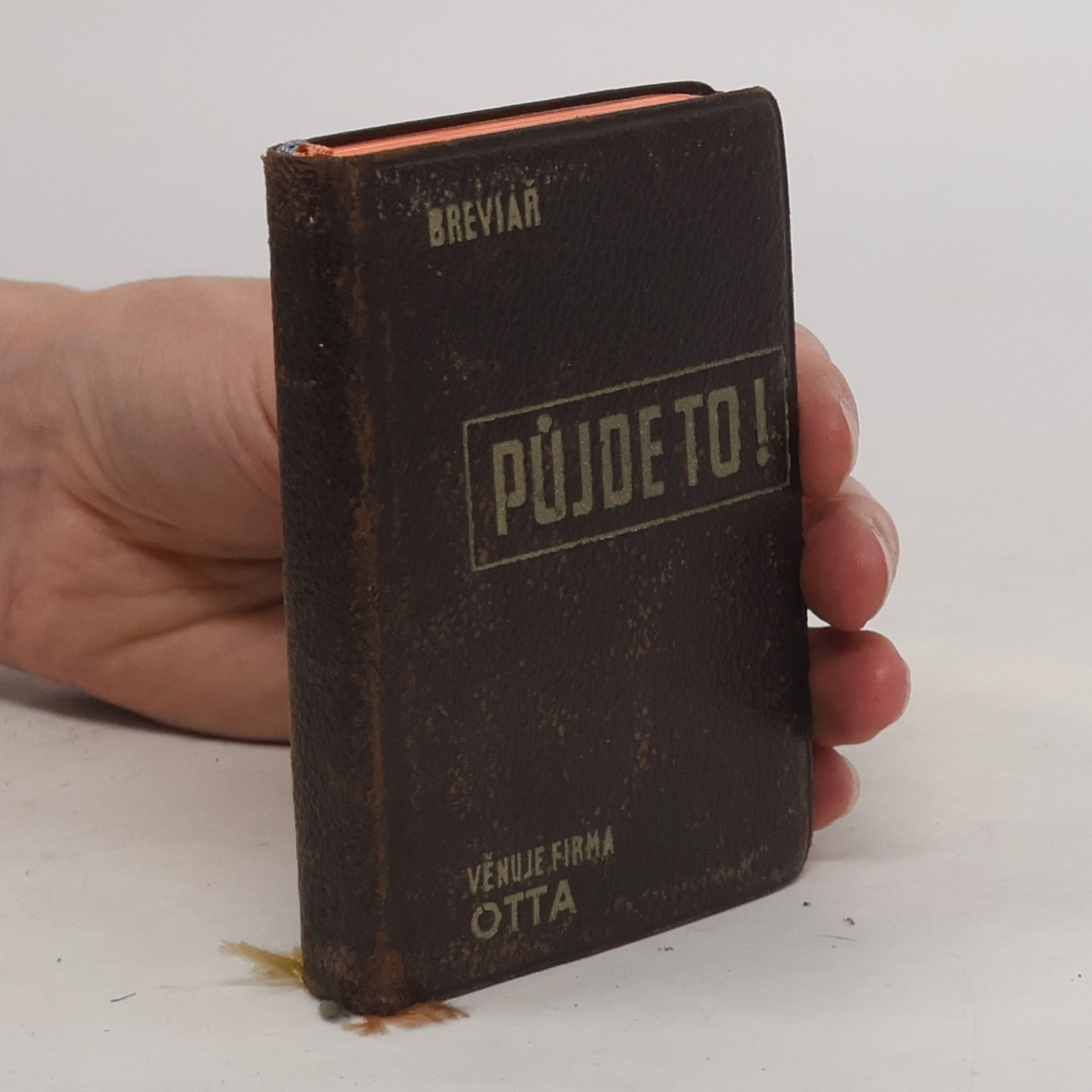 Půjde to! Breviář šťastného člověka.