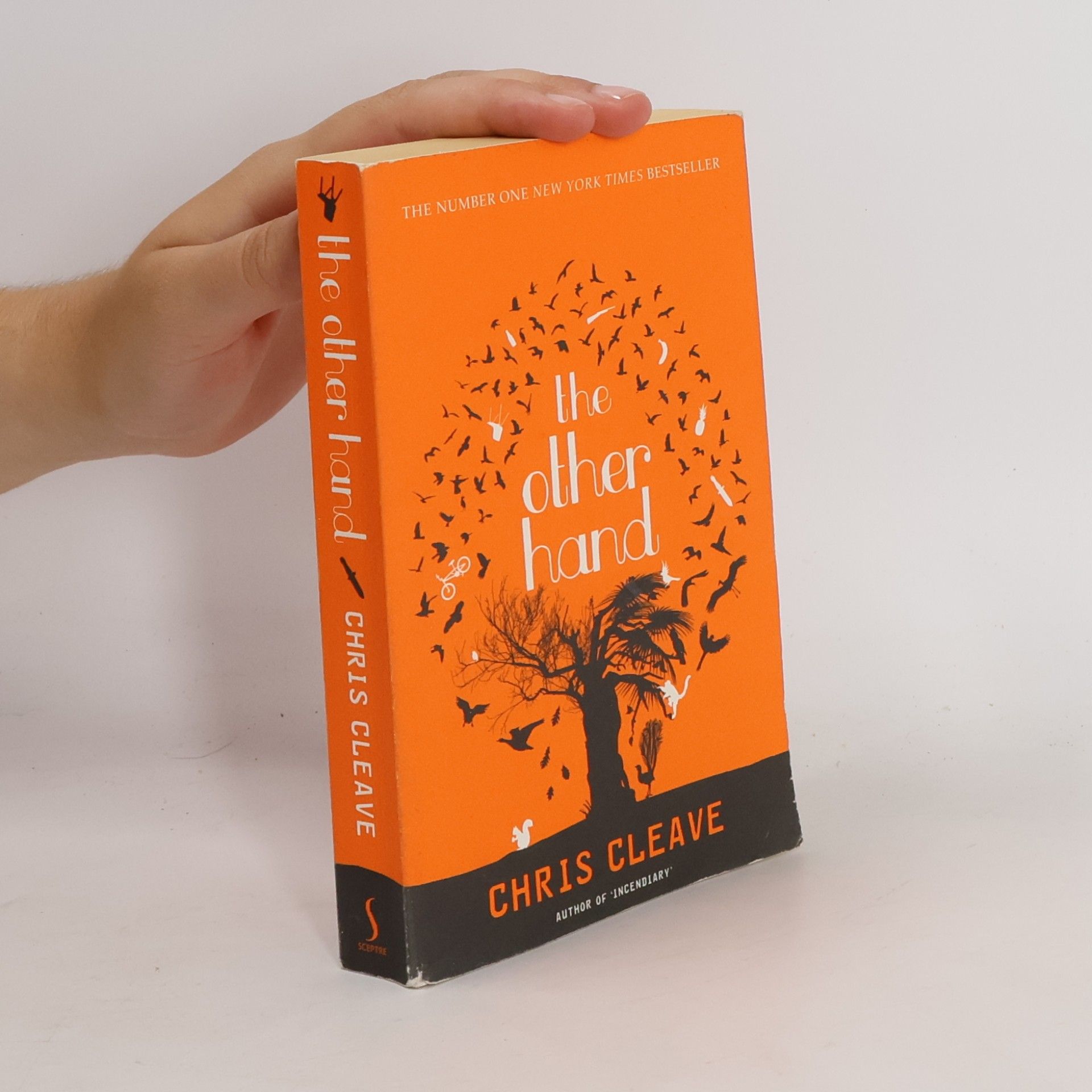 Chris Cleave The other hand