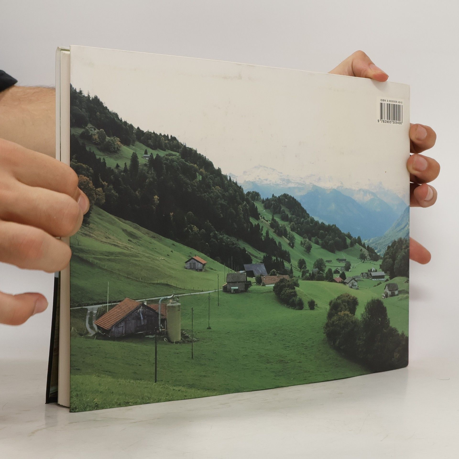 Christian Schwägerl Falsche Chalets