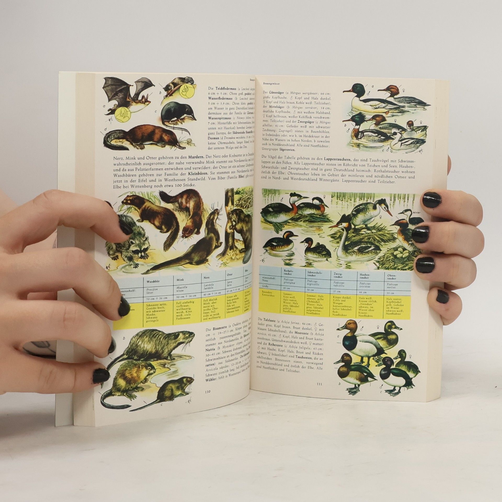 Harry Garms Pflanzen und Tiere Europas
