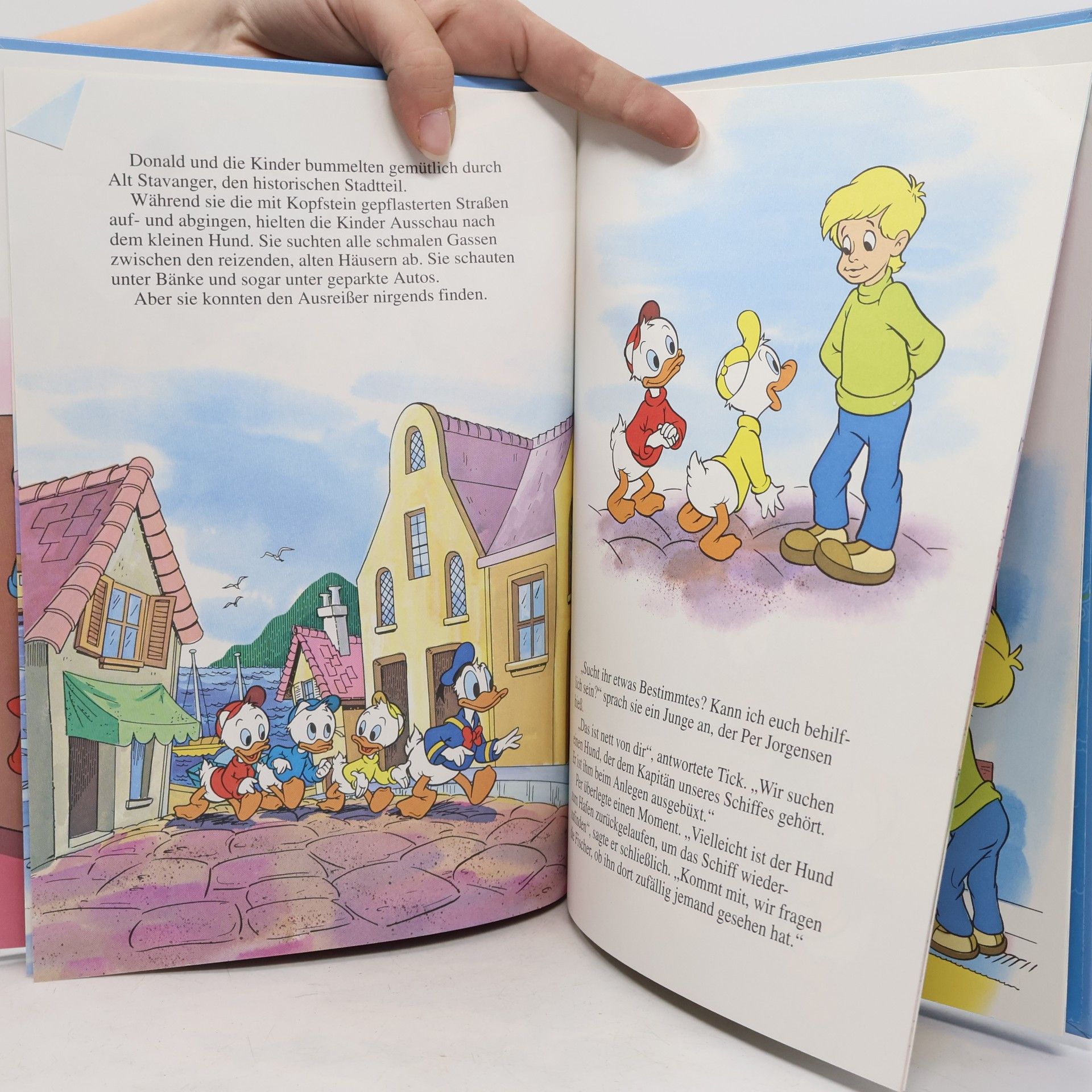 Autorenkollektiv Donald und der Troll