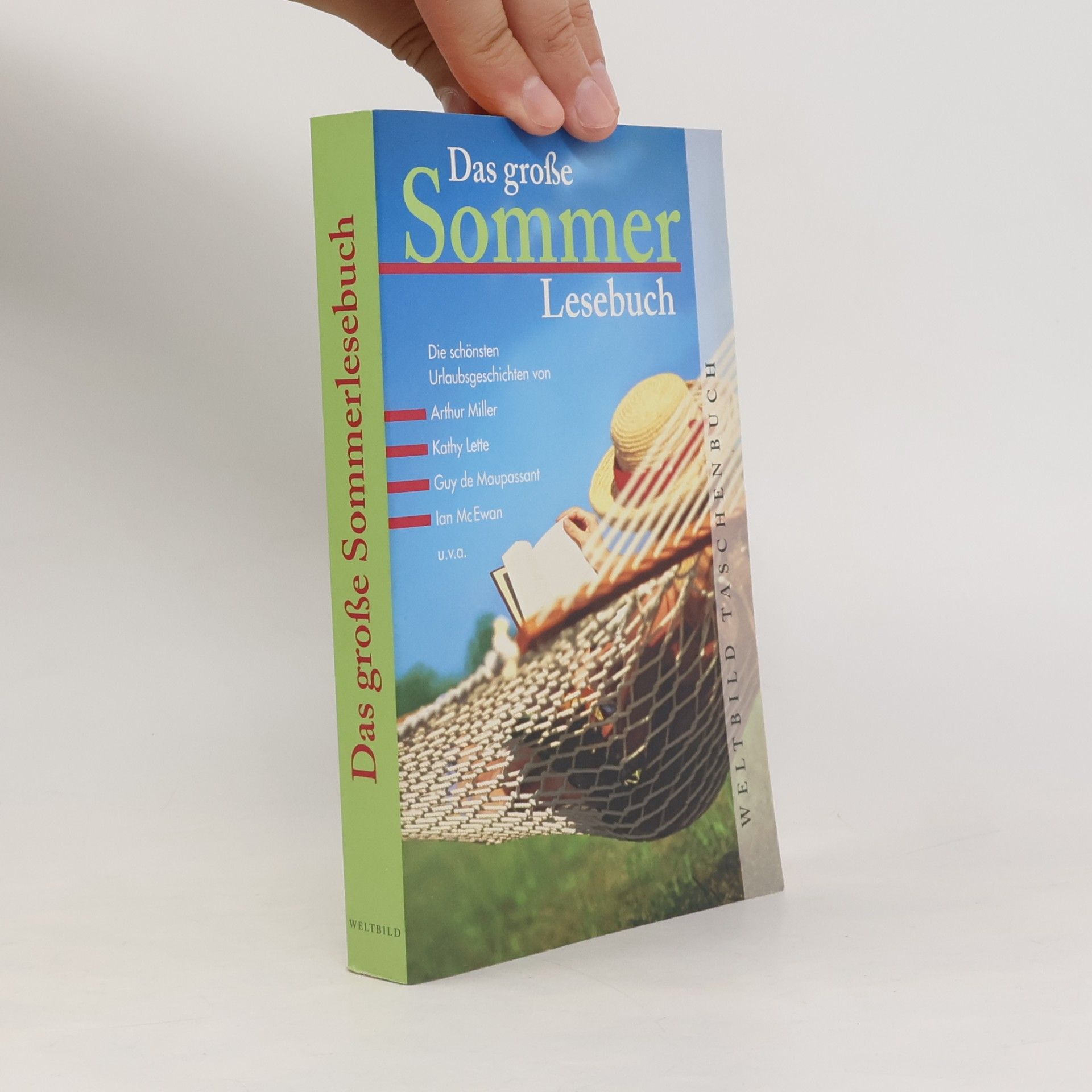 Das große Sommerlesebuch