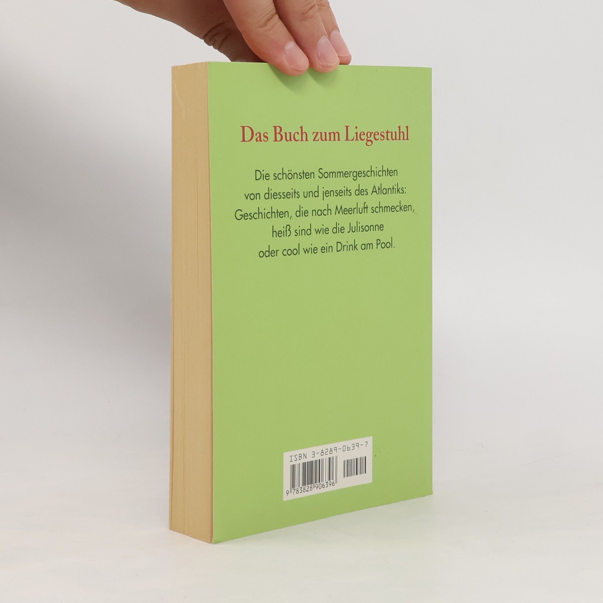 Holger Wolandt Das große Sommerlesebuch