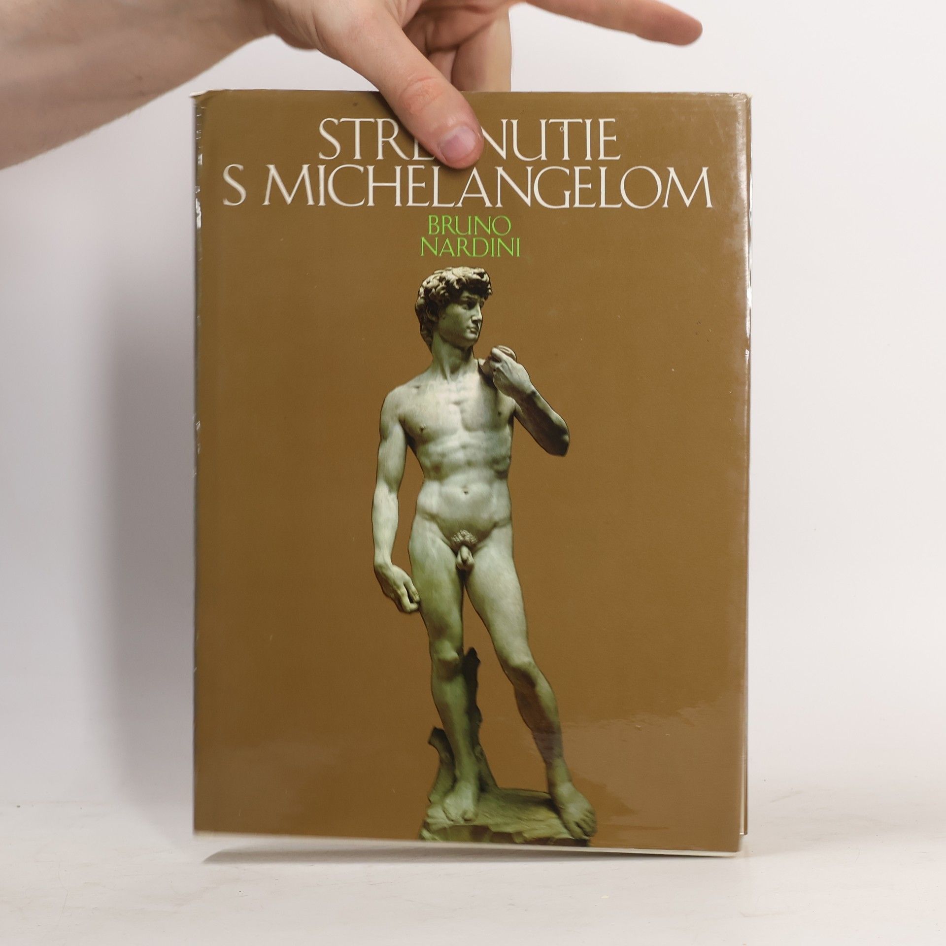 Bruno Nardini Stretnutie s Michelangelom