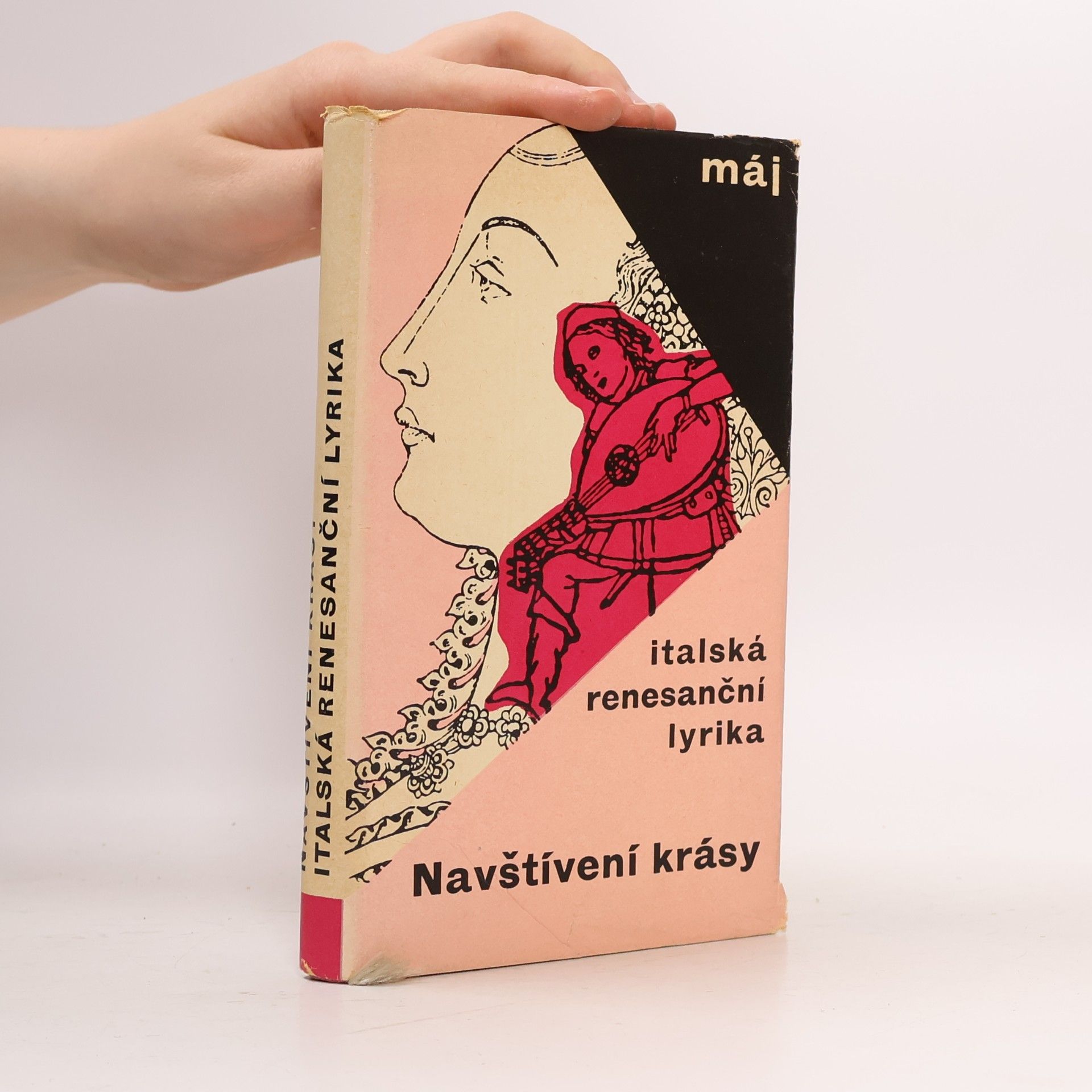 Navštívení krásy. Italská renesanční lyrika