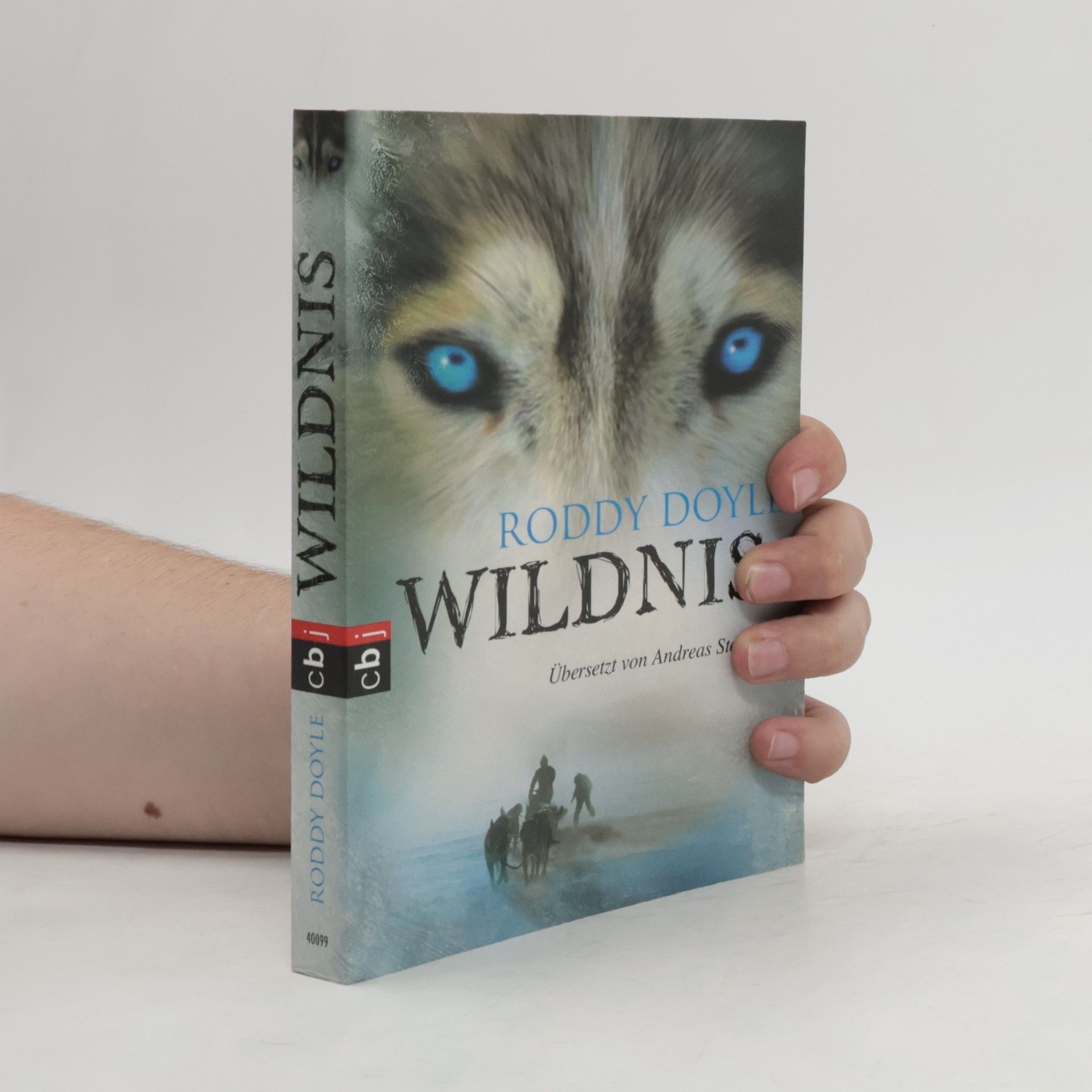 Roddy Doyle Wildnis