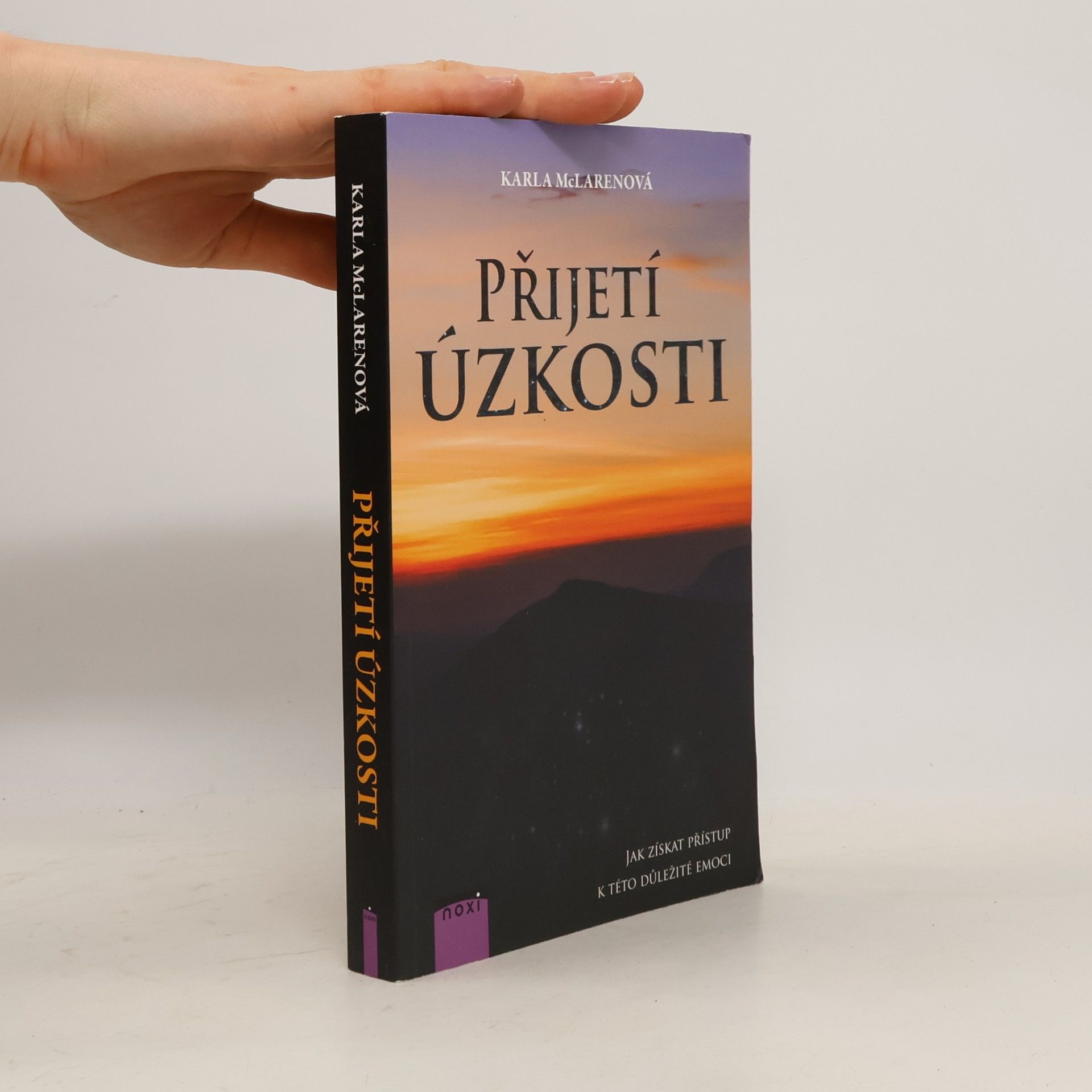 Hana Hromádková Přijetí úzkosti