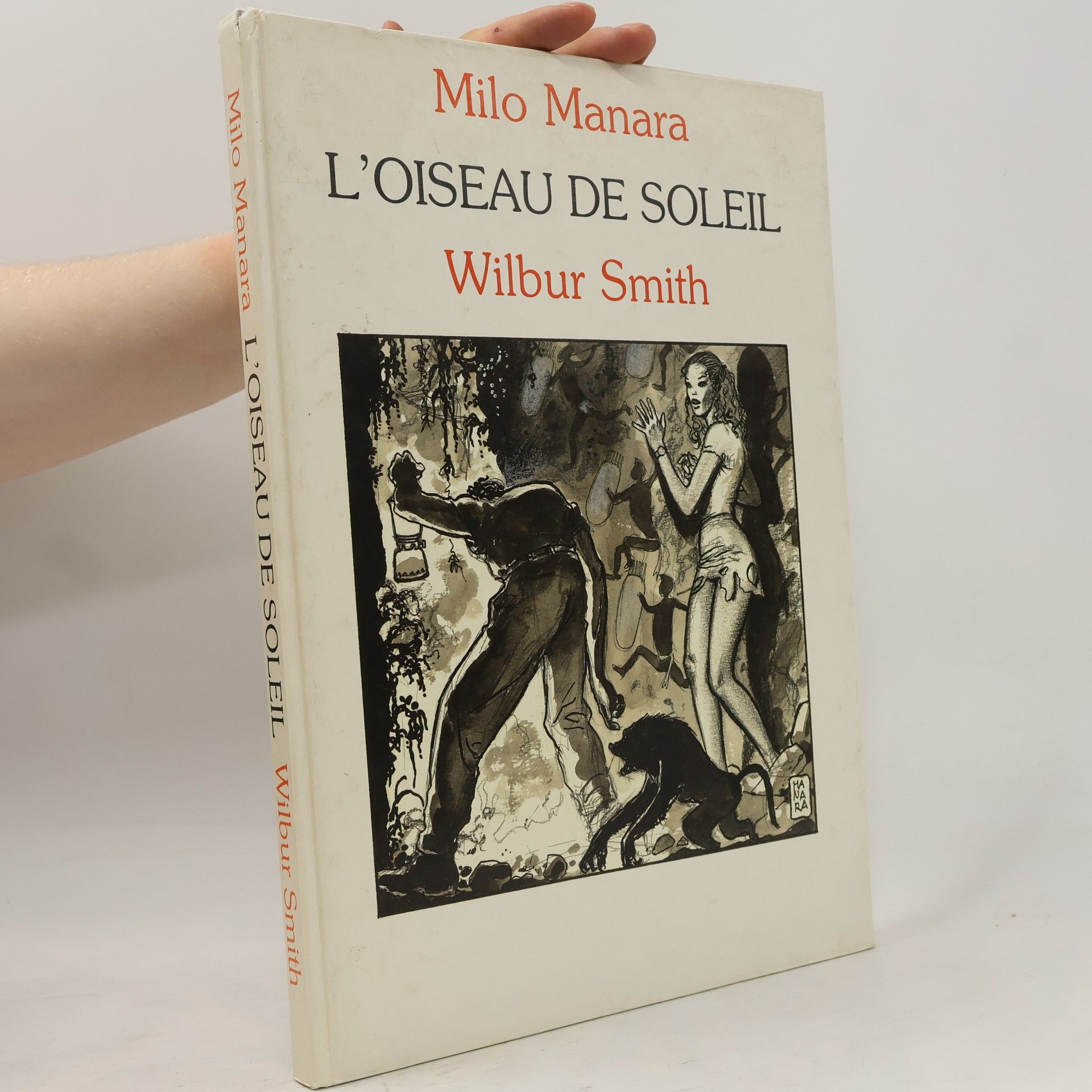 L'Oiseau de soleil