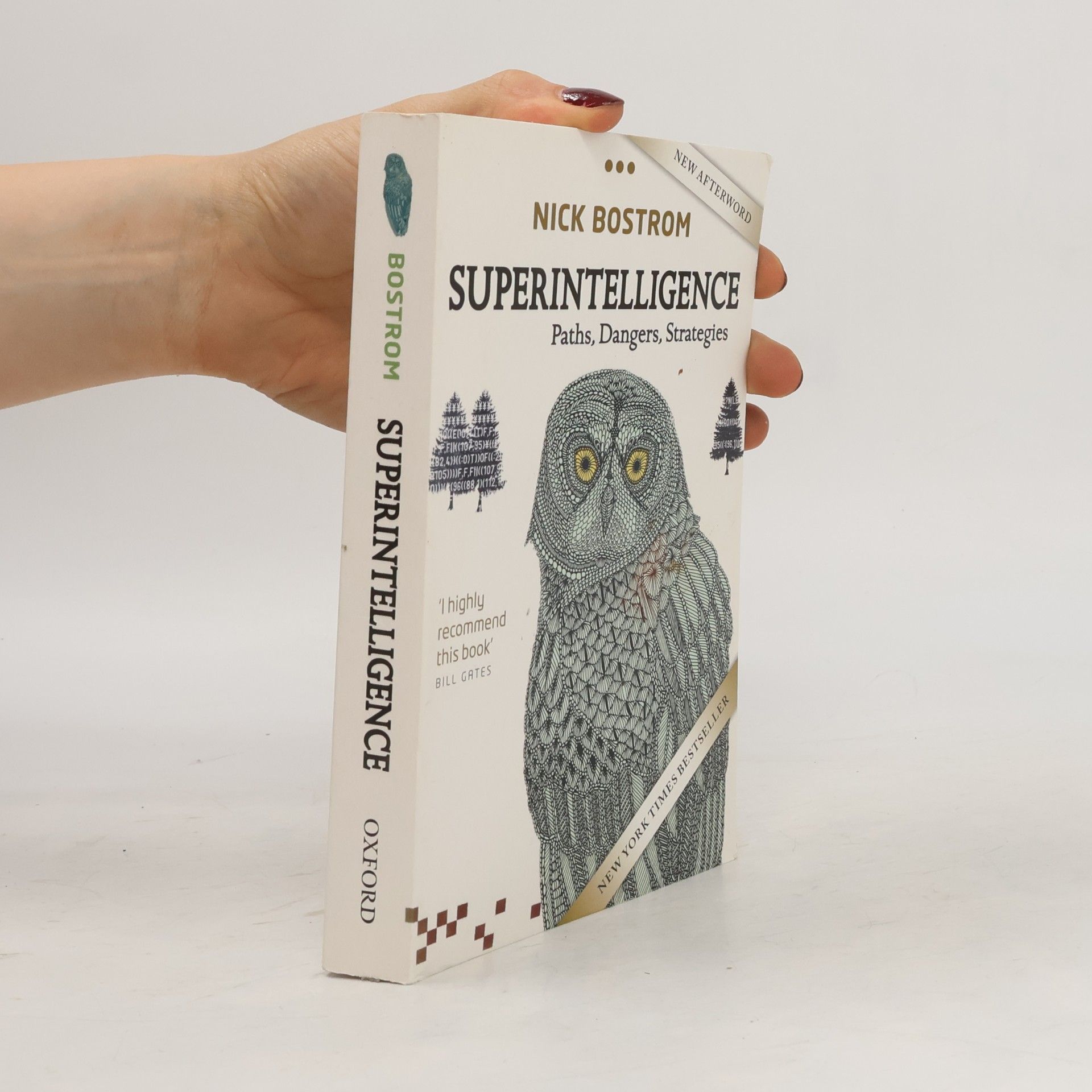 Nick Bostrom Superintelligence