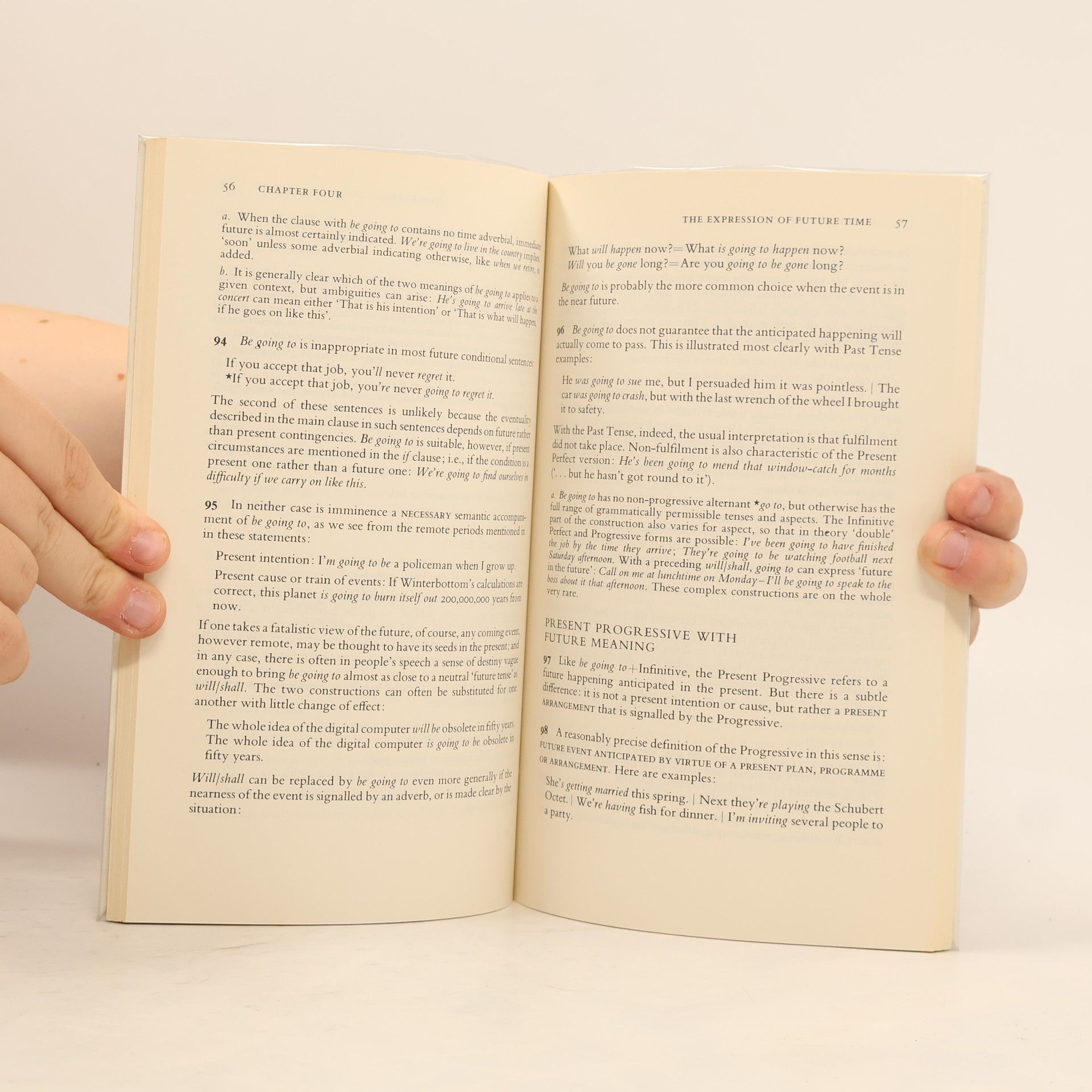 Geoffrey Leech Meaning and the English verb