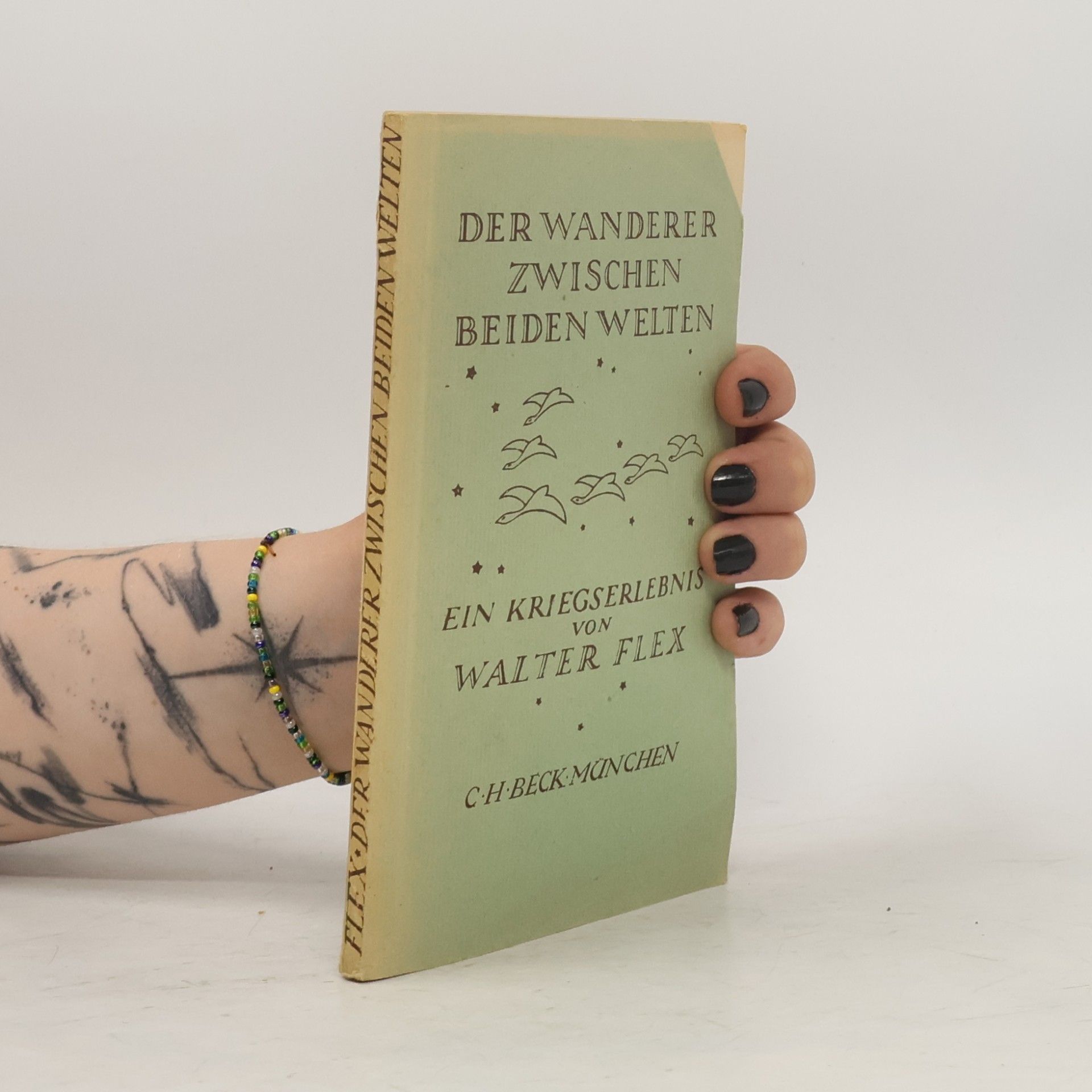 Walter Flex Der Wanderer zwischen beiden Welten