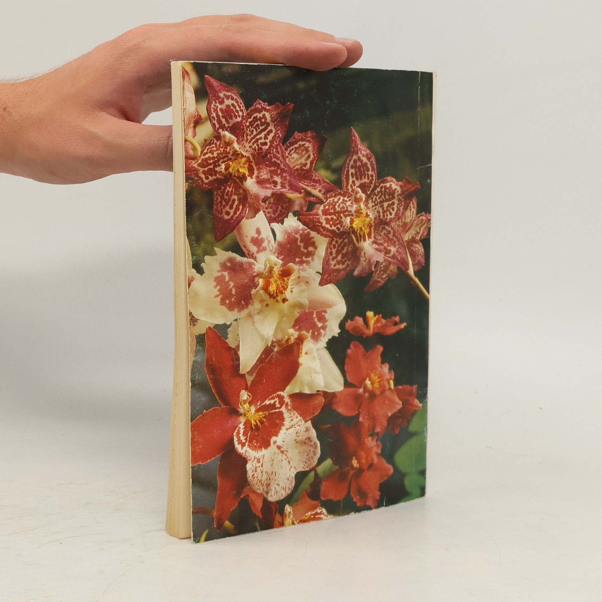 Jiří Gut Orchideje a jejich bytová kultura