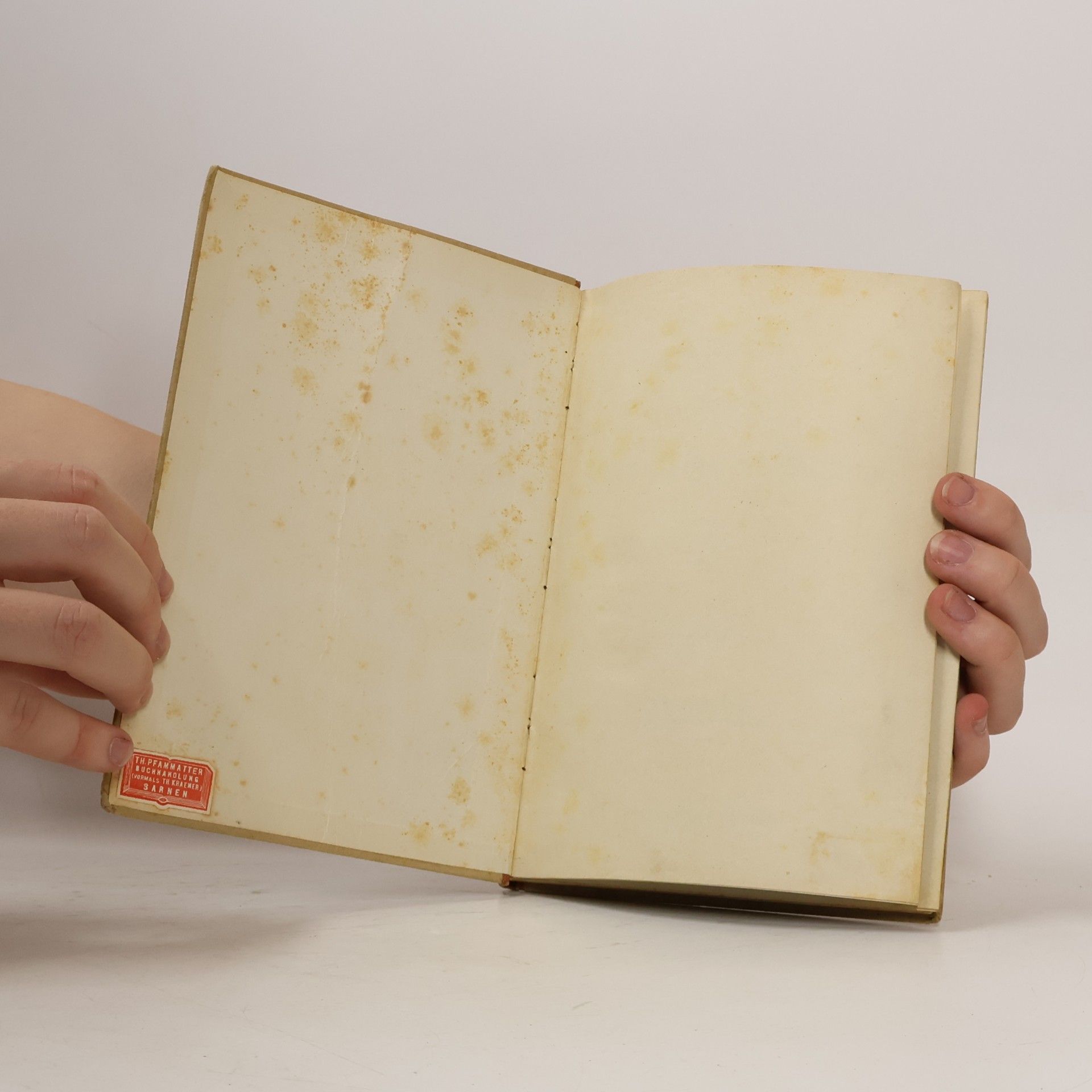 Rudolf Hôn Geographie der Schweiz