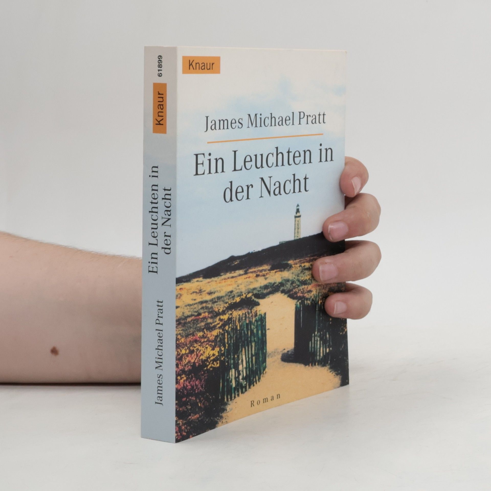 James Michael Pratt Ein Leuchten in der Nacht