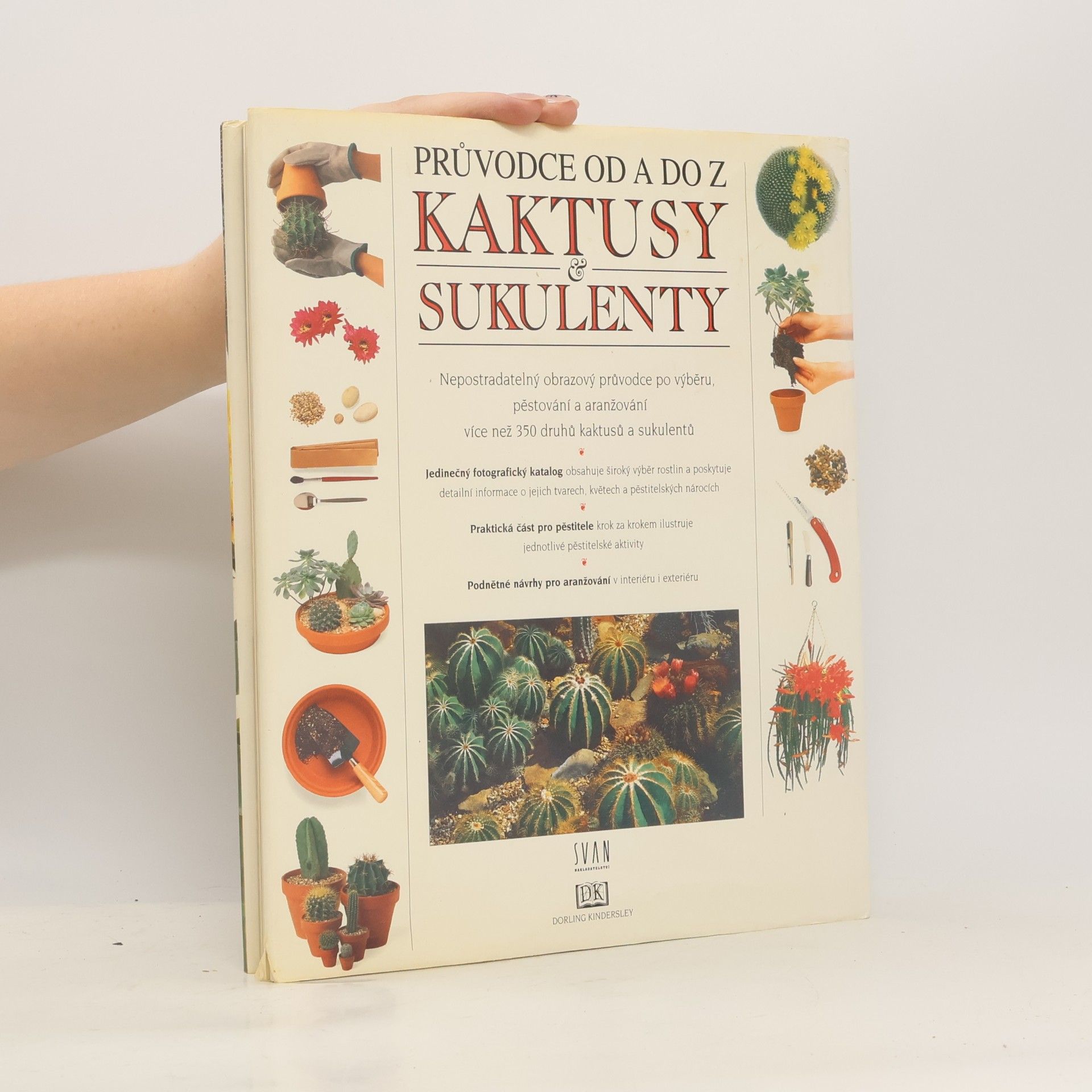 Terry Hewitt Sprievodca od A po Z. Kaktusy a sukulenty