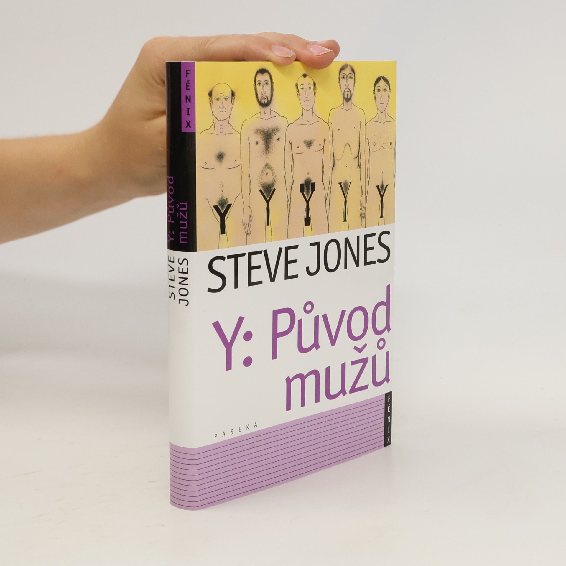 Y: Původ mužů