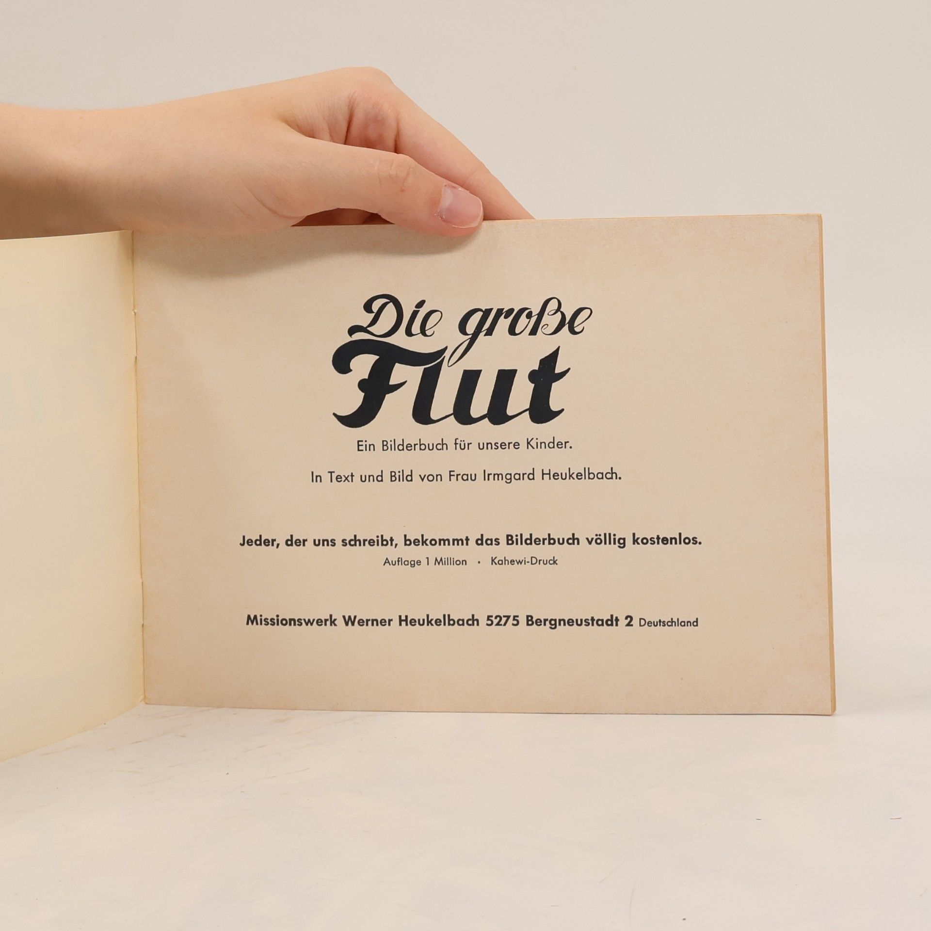 Irmgard Heukelbach Die große Flut