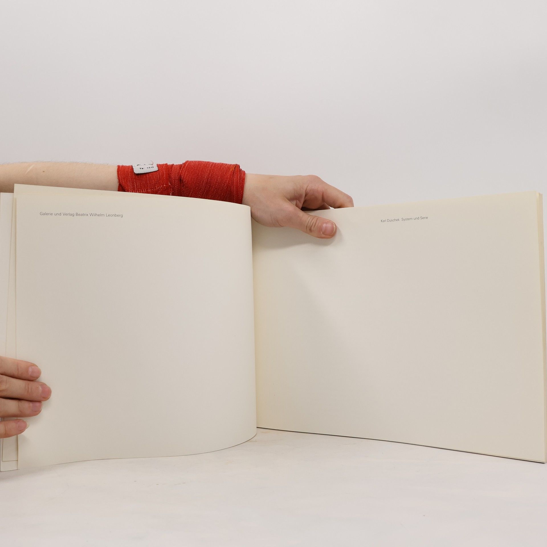 Karl Duschek System und Serie.