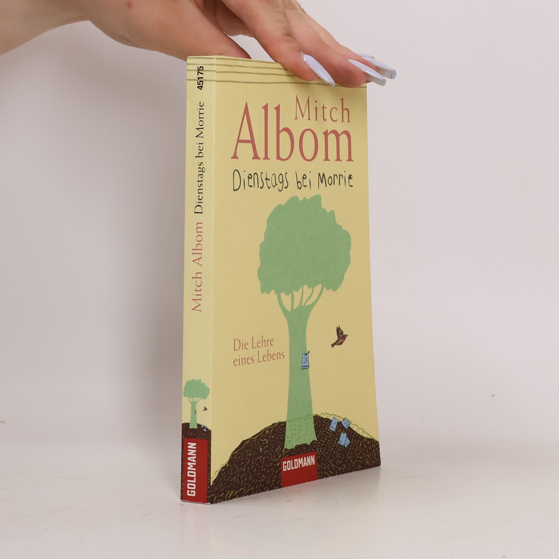 Mitch Albom Dienstags bei Morrie