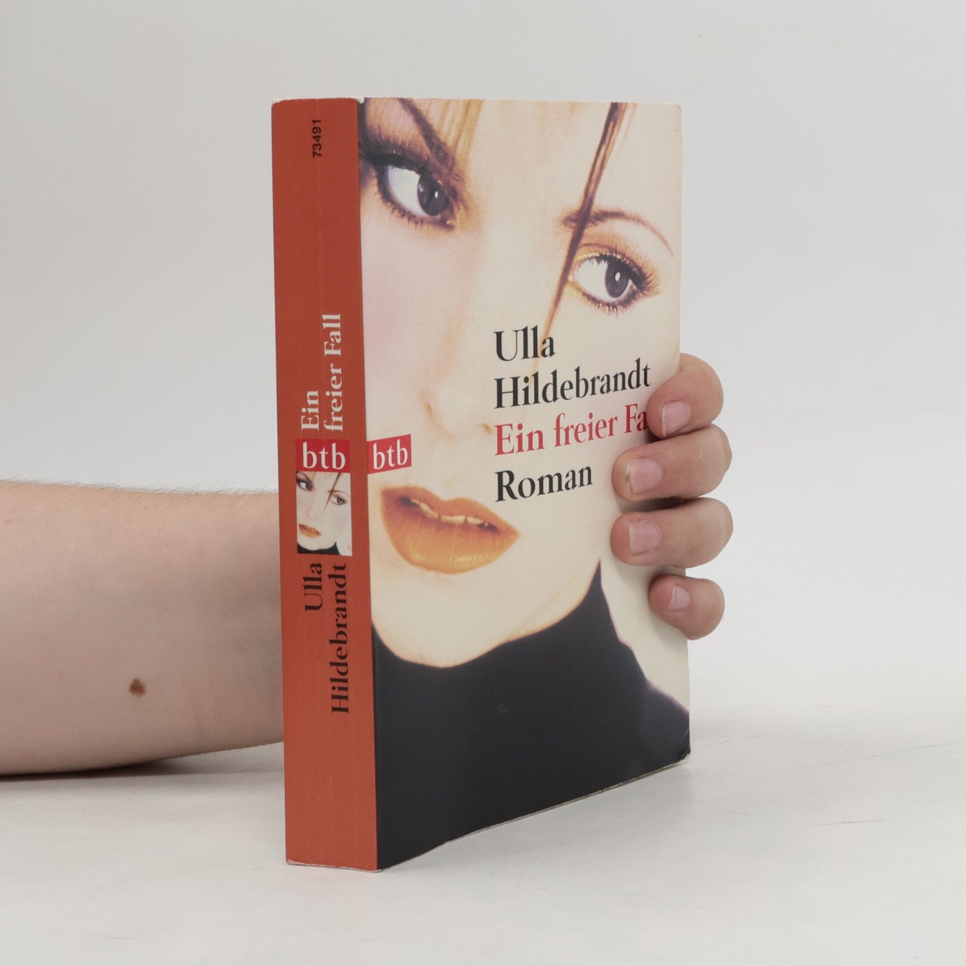 Ulla Hildebrandt Ein freier Fall