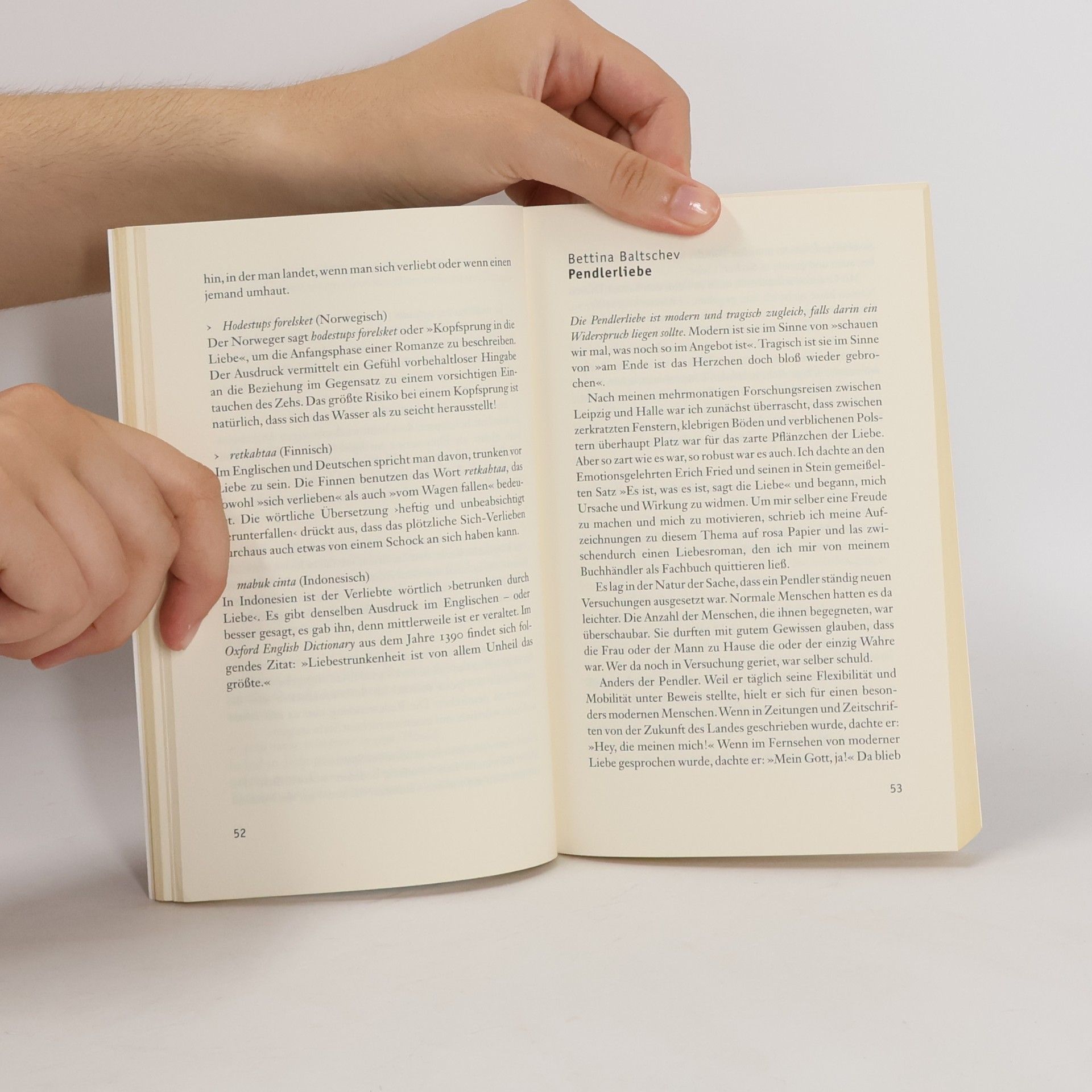 German Neundorfer Das Hängemattenbuch