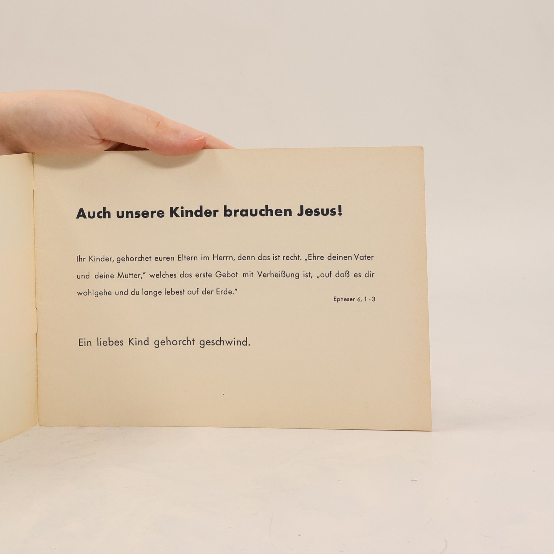 kolektiv Die zwölf Brüder
