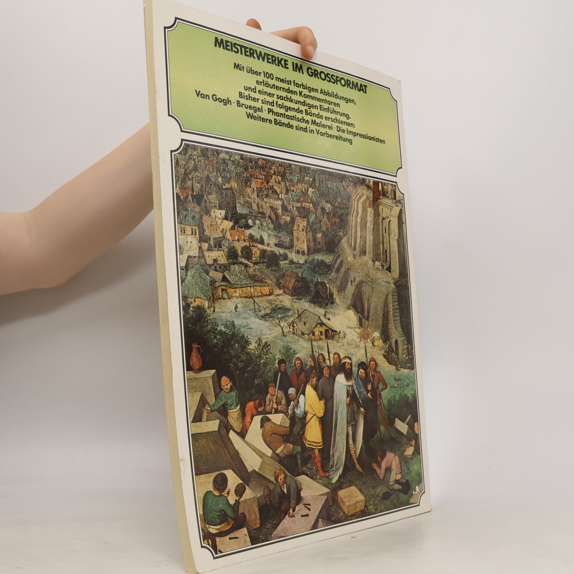 Kolektiv autorů Meisterwerke im Grossformat. Bruegel