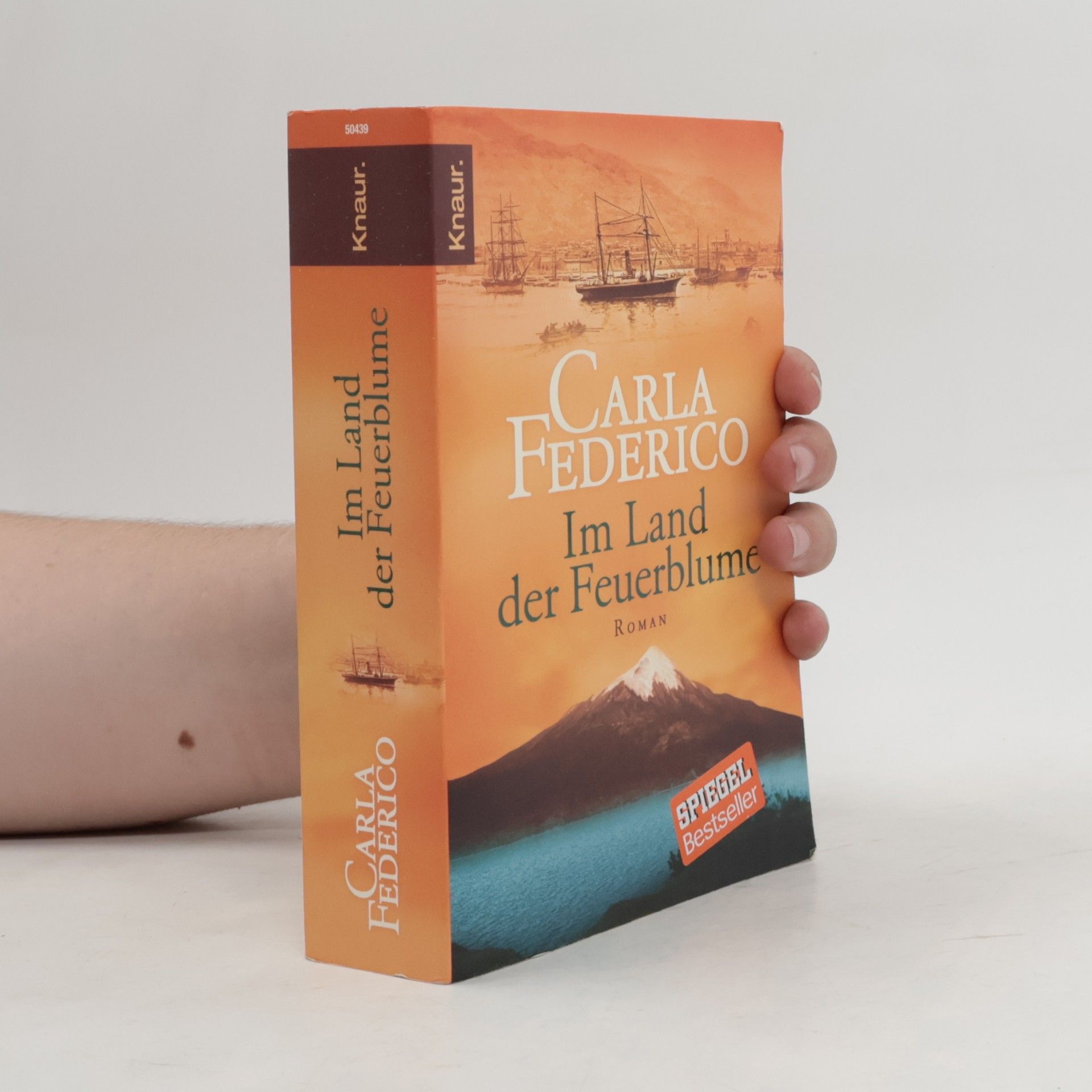 Carla Federico Im Land der Feuerblume