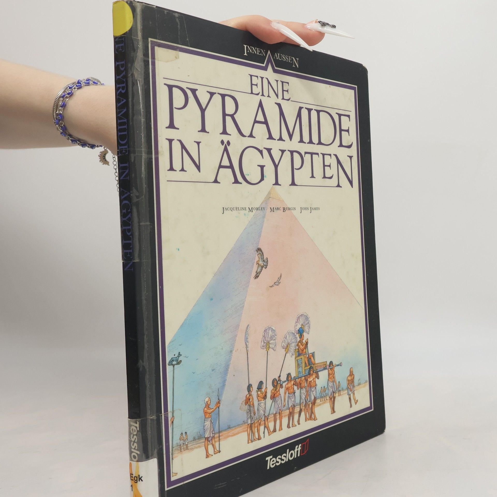 Jacqueline Morley Eine Pyramide in Ägypten
