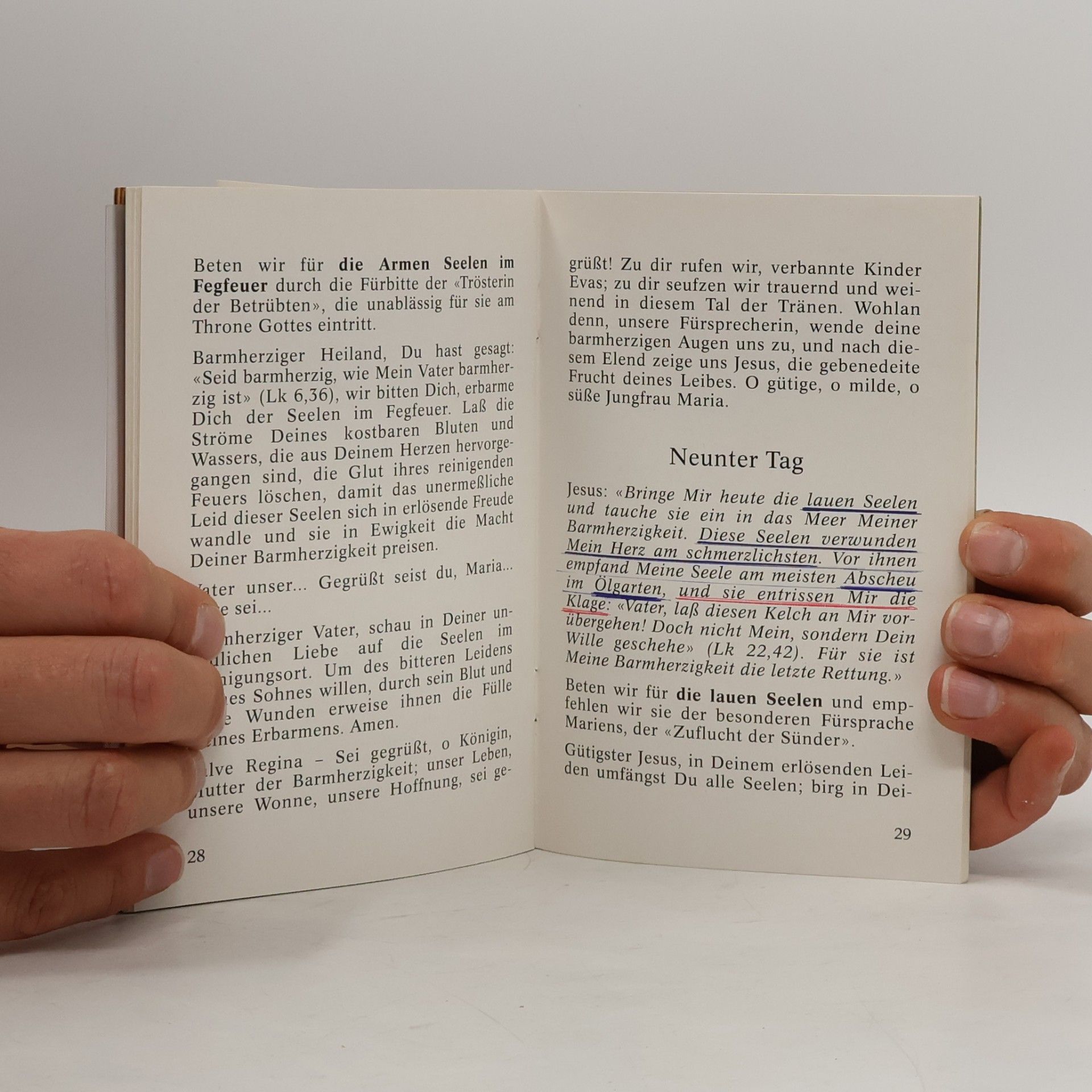 Autorenkollektiv Verehrung der Göttlichen Barmherzigkeit