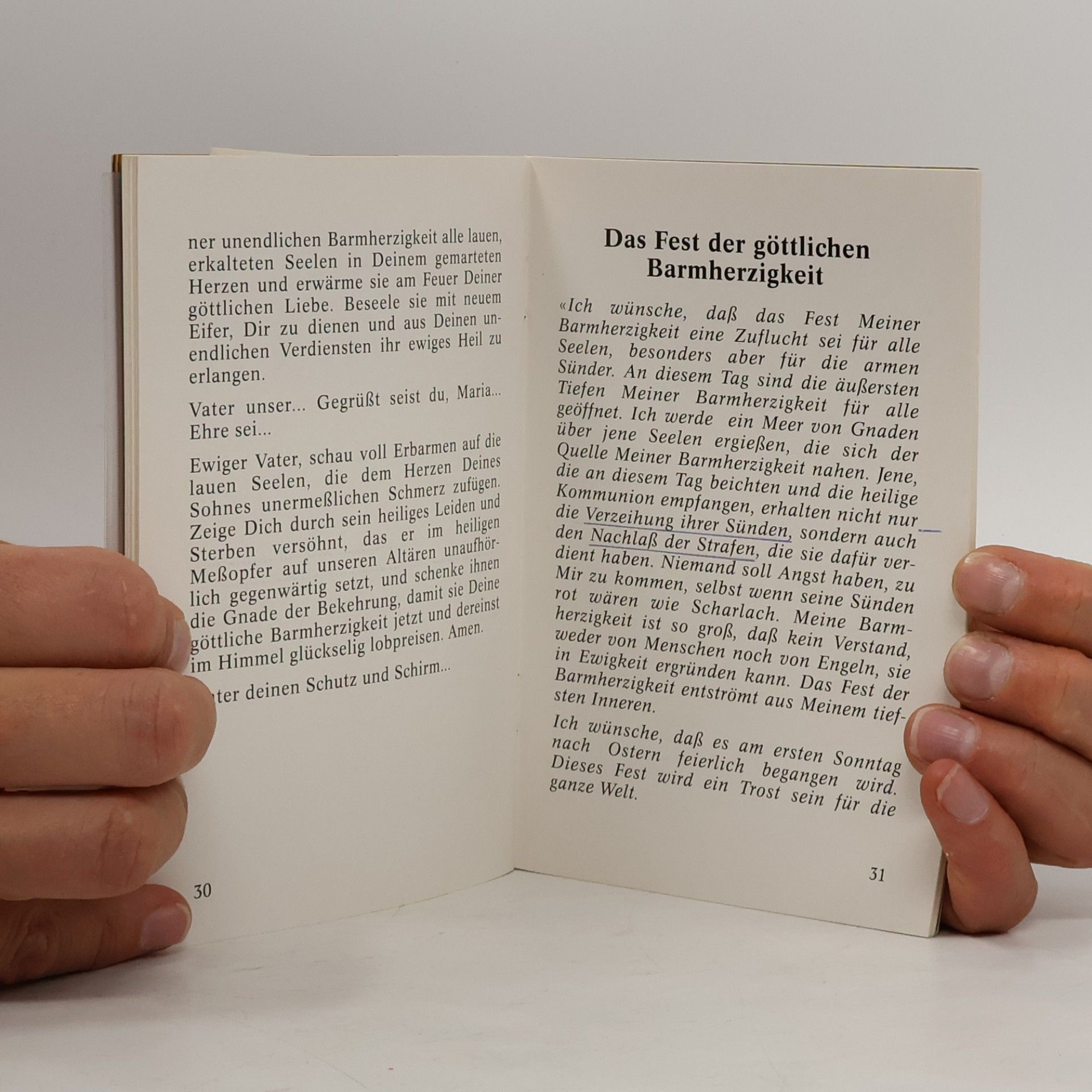 Autorenkollektiv Verehrung der Göttlichen Barmherzigkeit