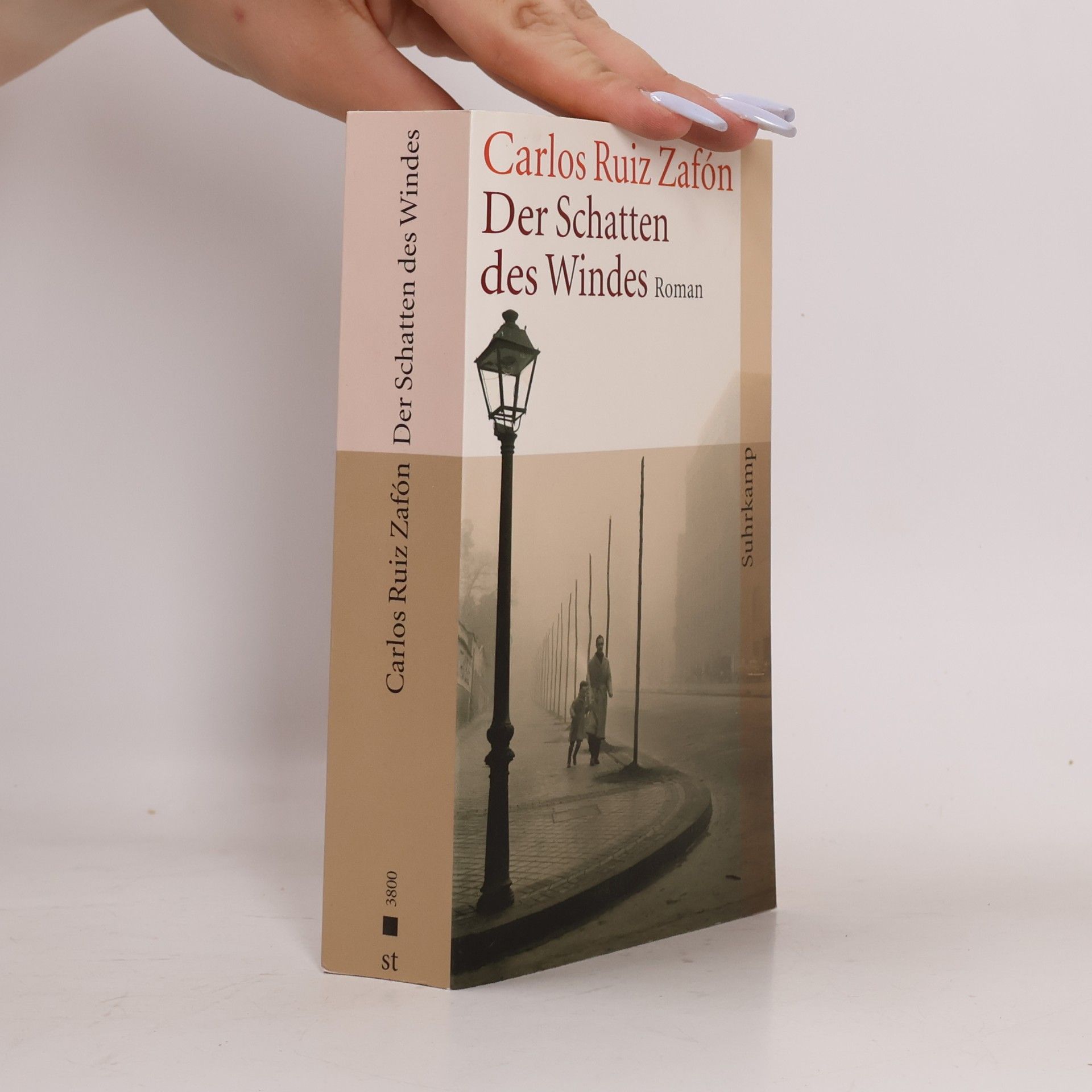 Carlos Ruiz Zafón Der Schatten des Windes