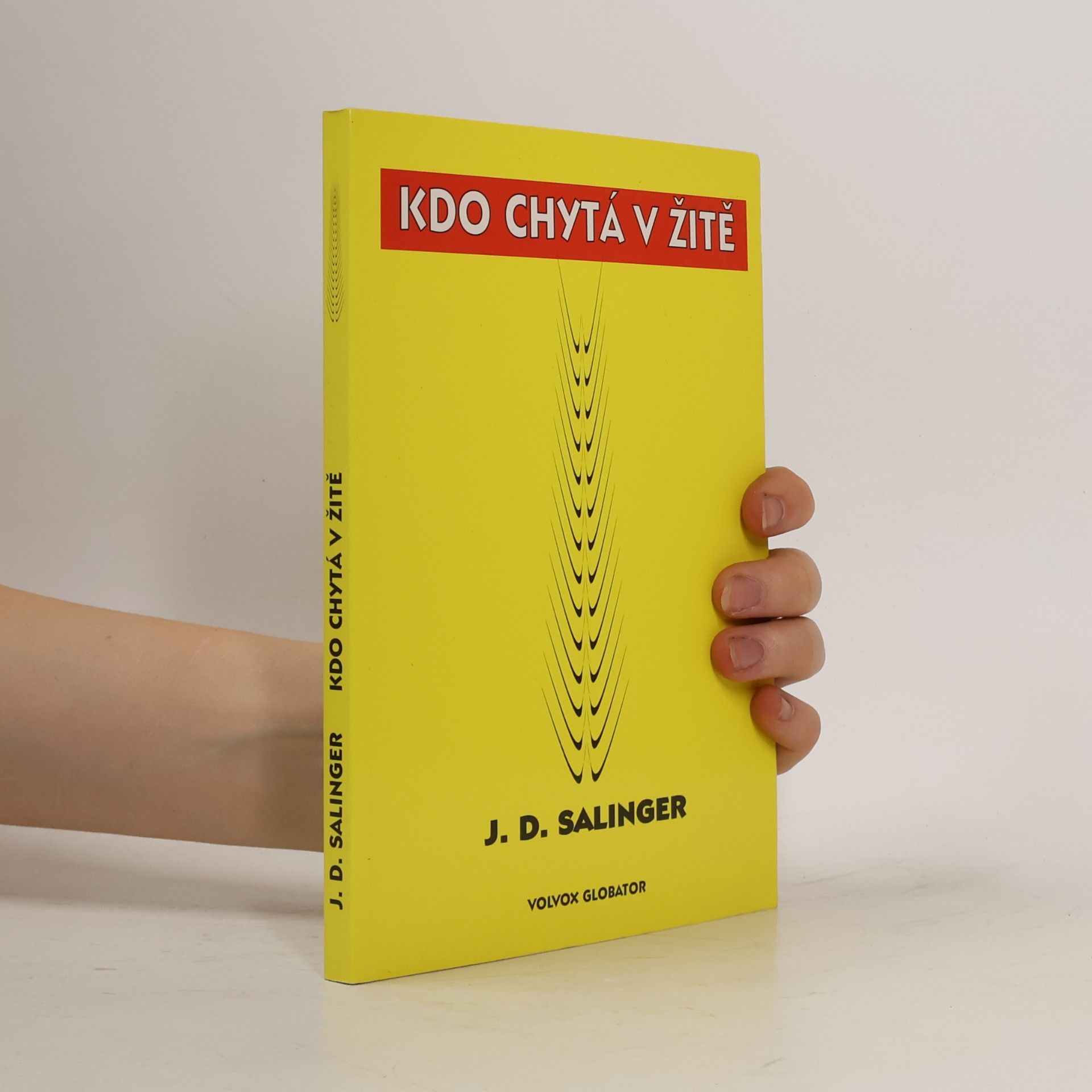 Jerome David Salinger Kdo chytá v žitě